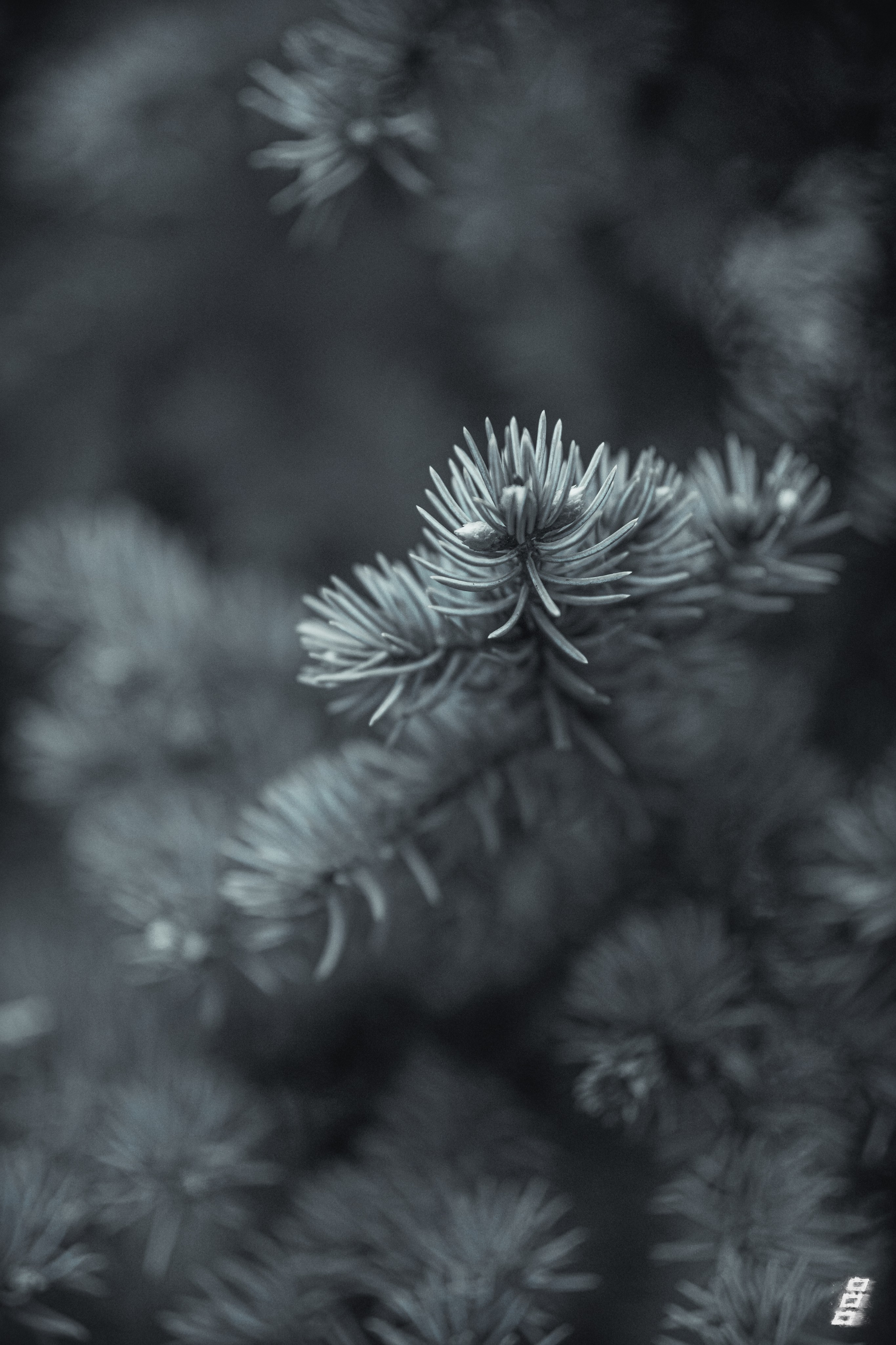 Misc series. Саватейкин Ярослав | Портретный фотограф в Москве