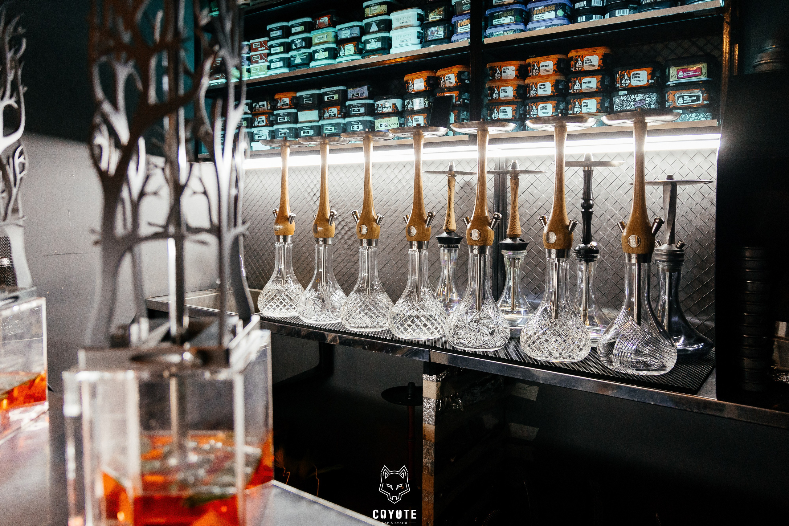 Бар Койот. Ваш самый лучший фотограф!