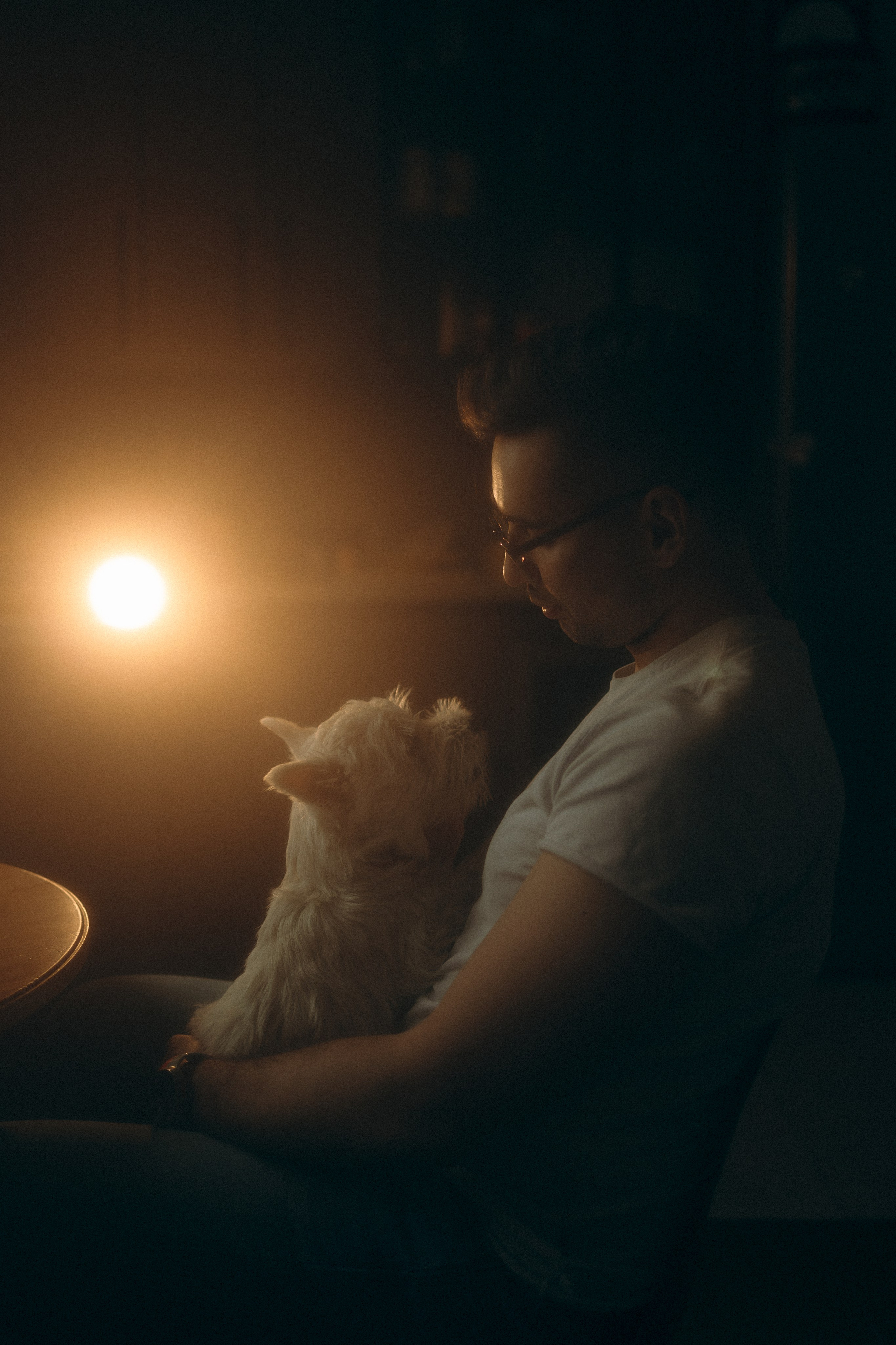 Снежуля, Мари и Саша. Фотограф анималист Анастасия Пикей