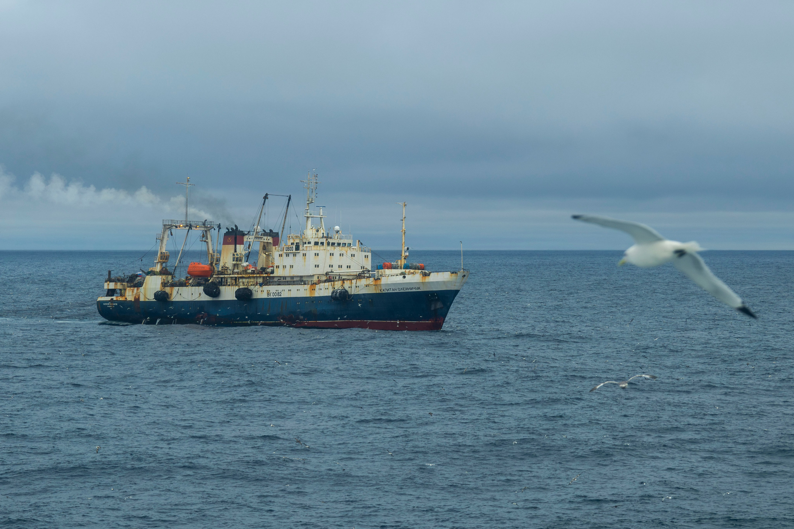 Когда я в море. Часть 2. Фотограф г. Владивосток