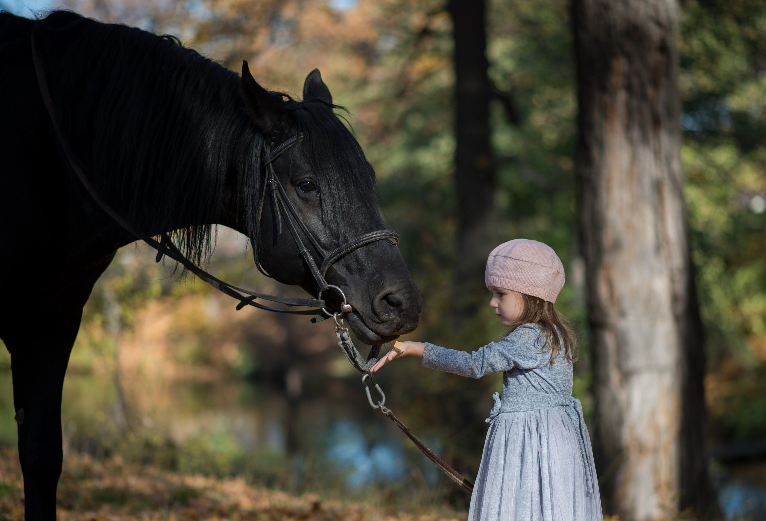 Дети и лошади. Конный фотограф в Саратове Юлия Иванова