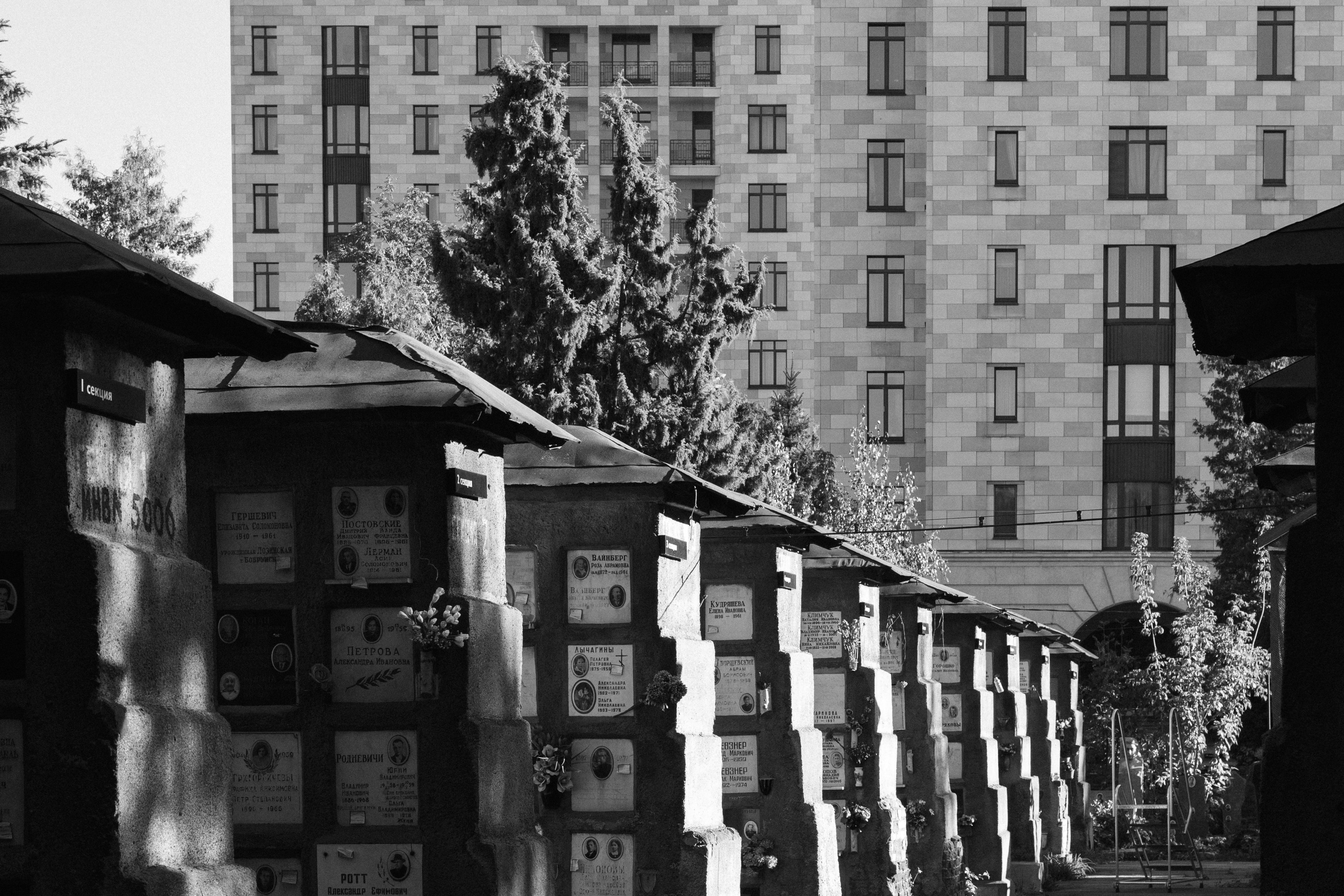 Донское кладбище. Арсений Игошев — фотограф, урбанист