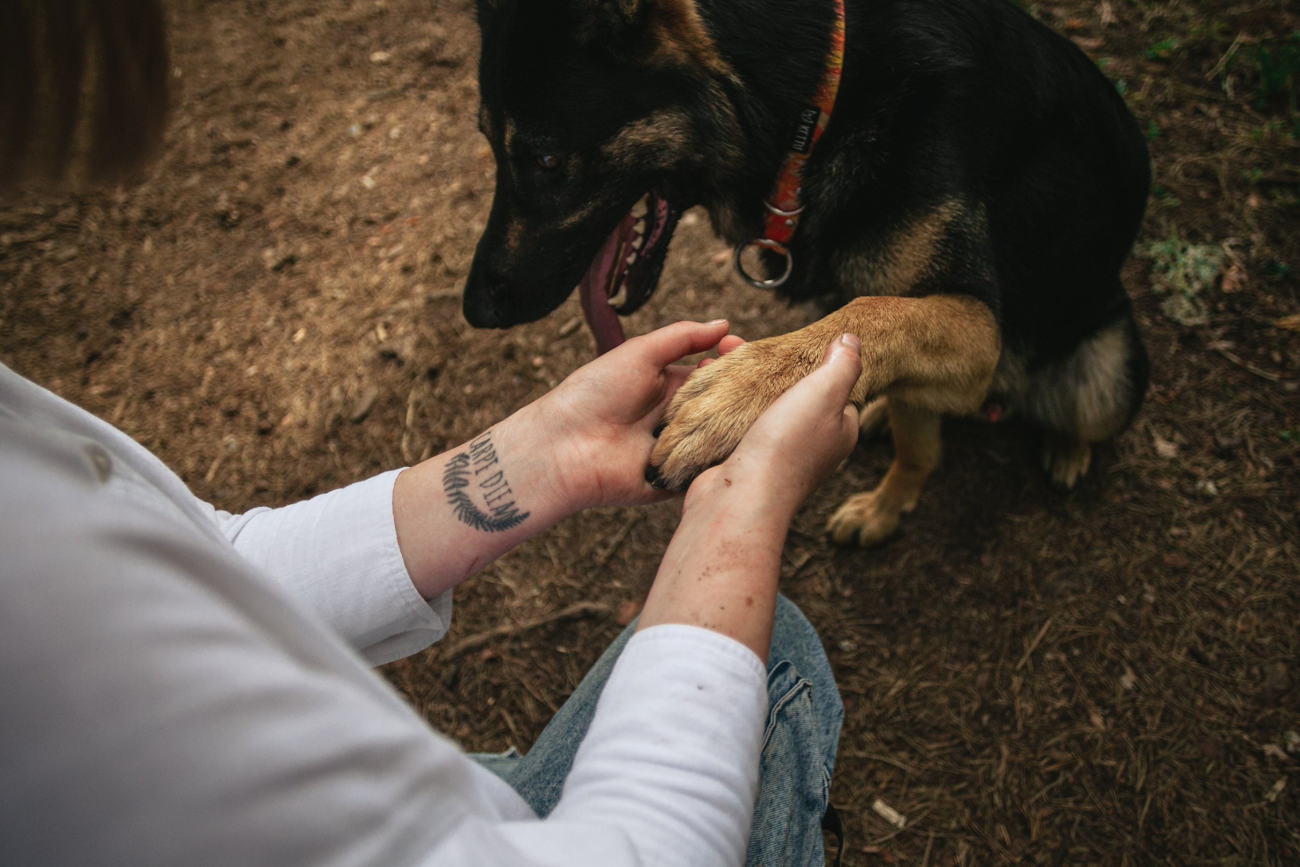 Лесная летняя фотопрогулка. Фотограф-анималист Татьяна Степанова
