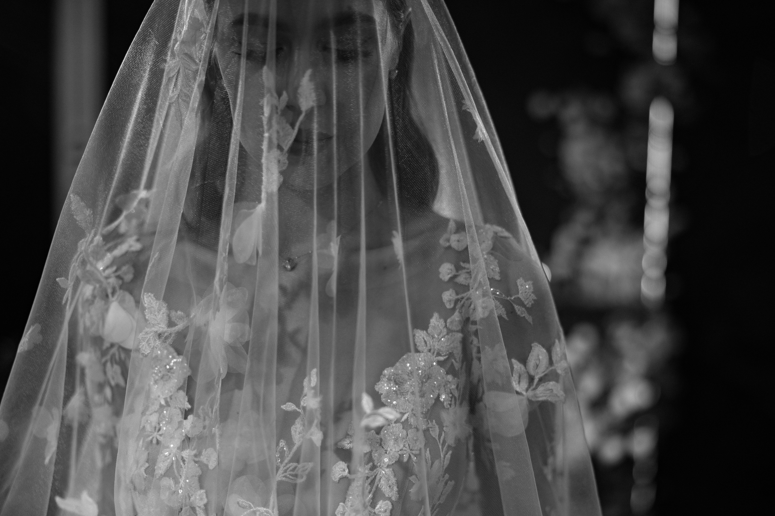 Денис и Дарья. Свадебный и семейный фотограф в Красноярске Прохорова Екатерина