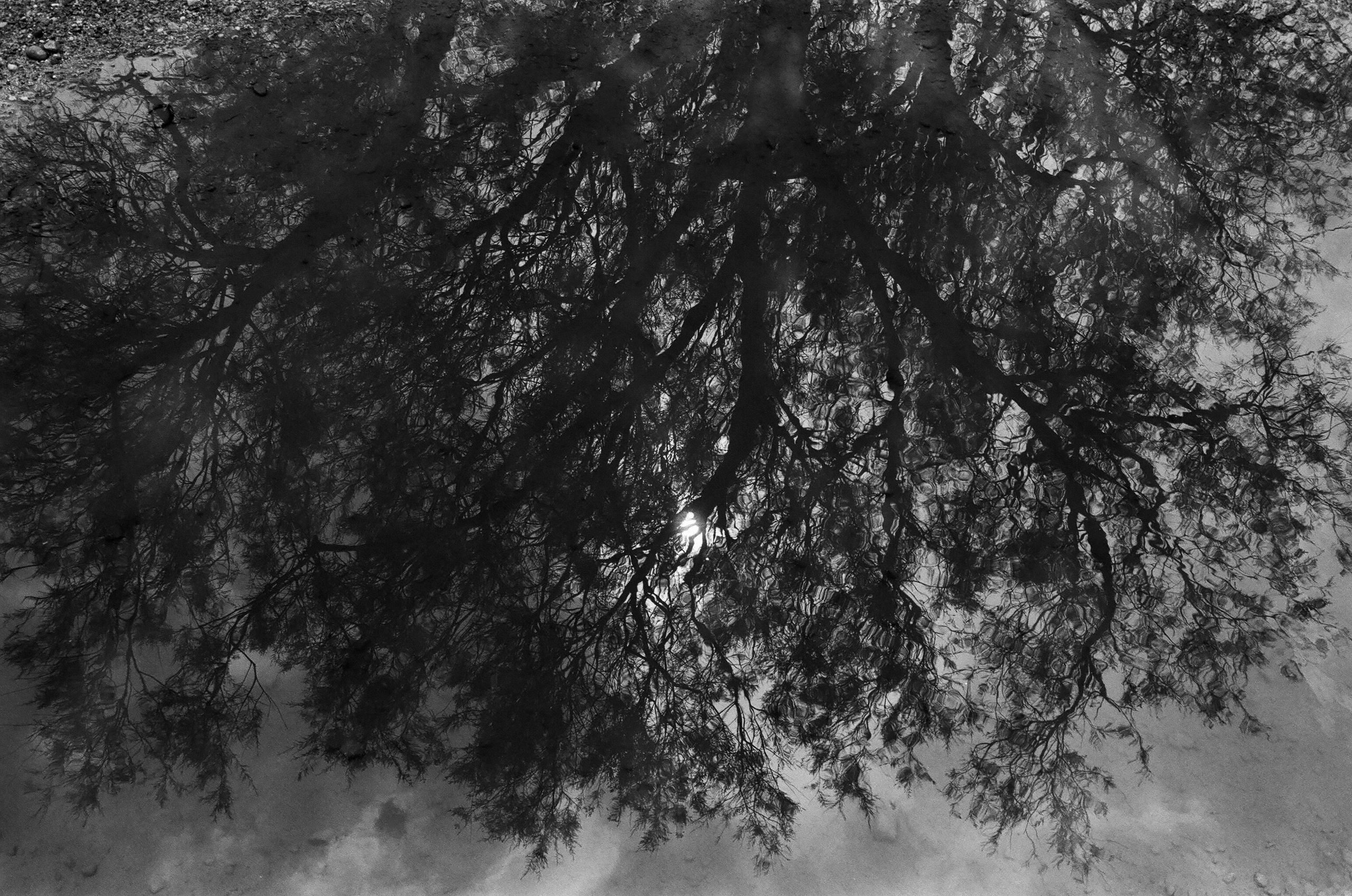 Film. Ruslan UI Dev Page