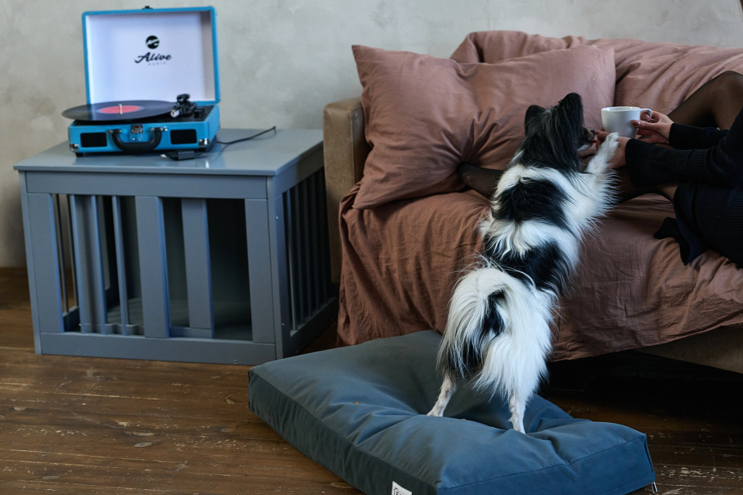 Мебель маркетплейсы. Фотограф Опыт Качество Скорость Горный Алтай Барнаул