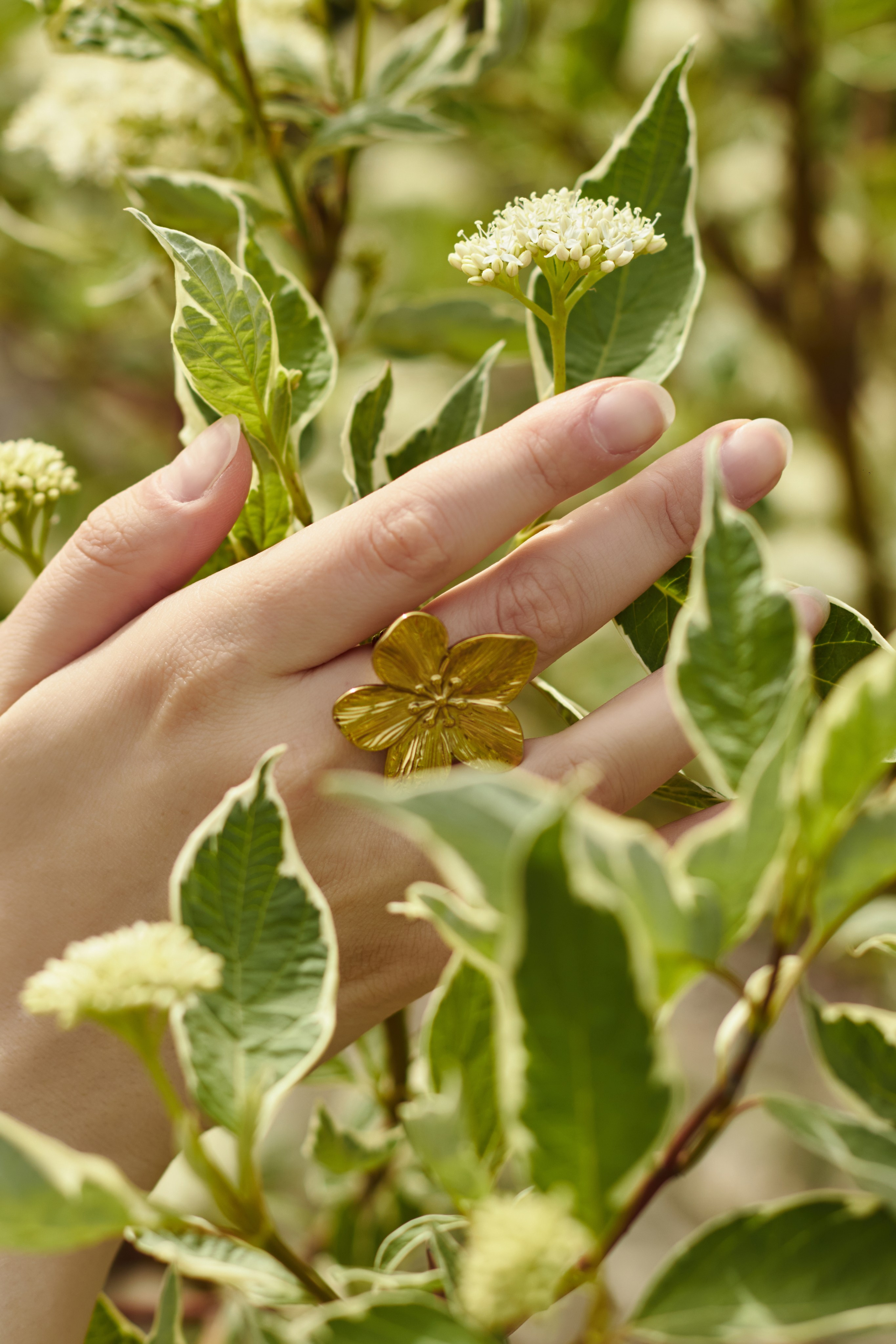 Фотограф в Волгограде Соколова Вера