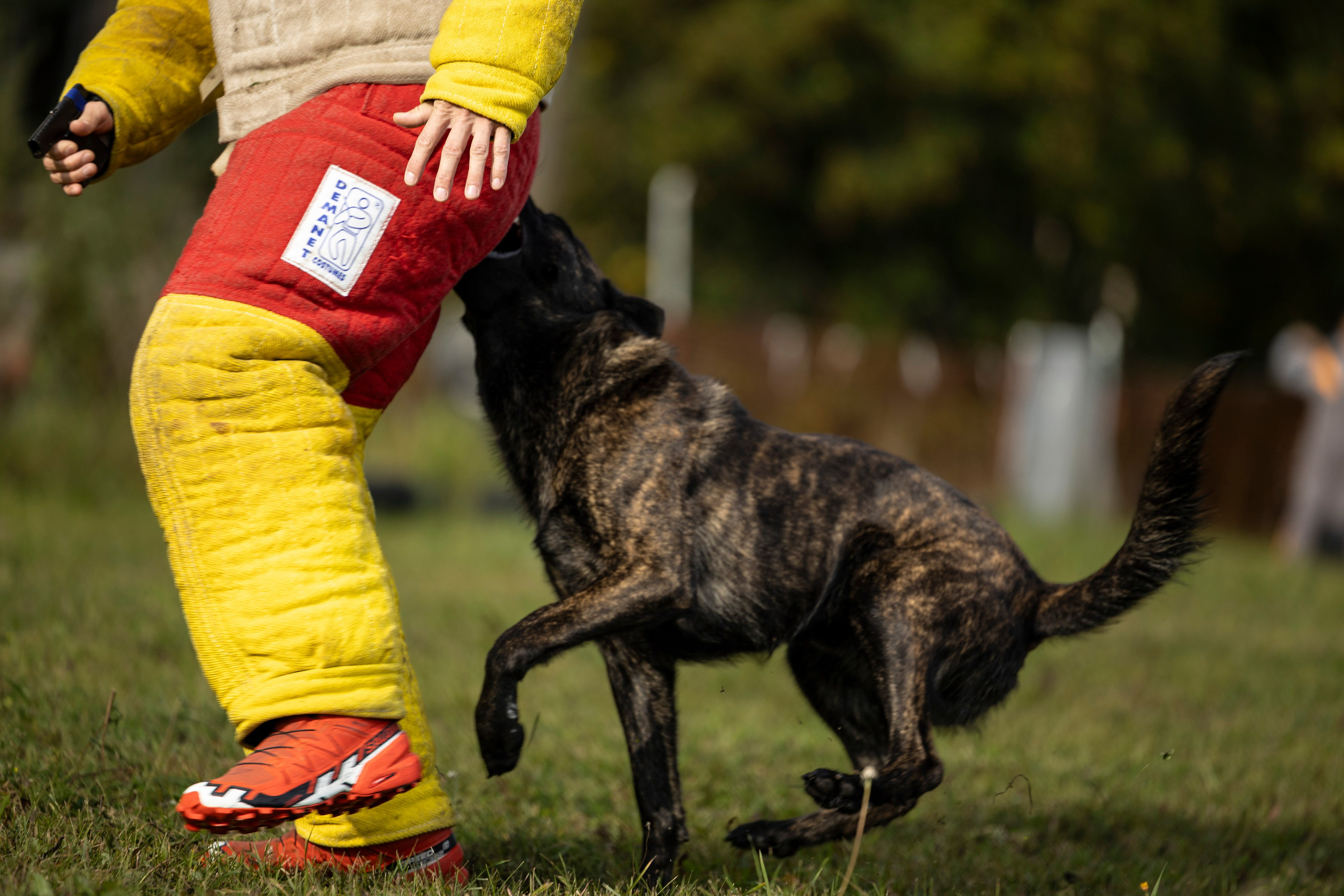 Испытания по Мондьорингу г. Пушкин. Фотограф-анималист Анна Маринич