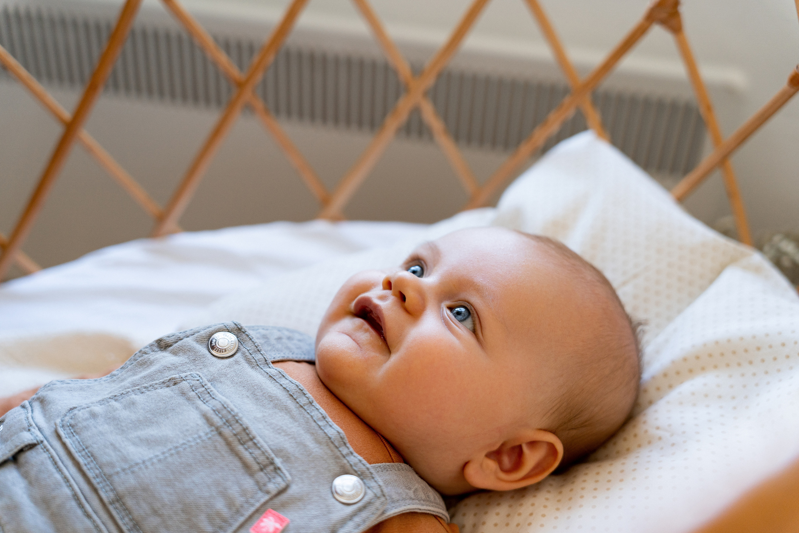 Семейный фотограф Краснодар. Семейный и NEWBORN фотограф г. Краснодар