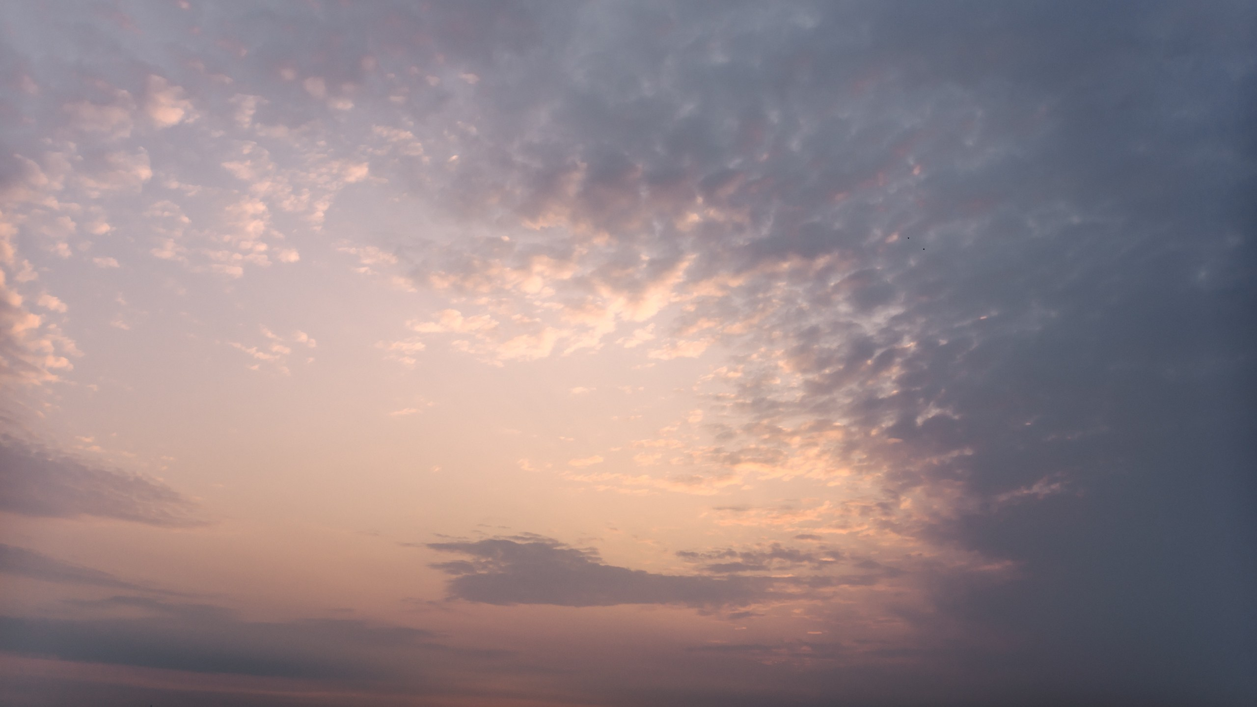 Небо видело всё. Komonev