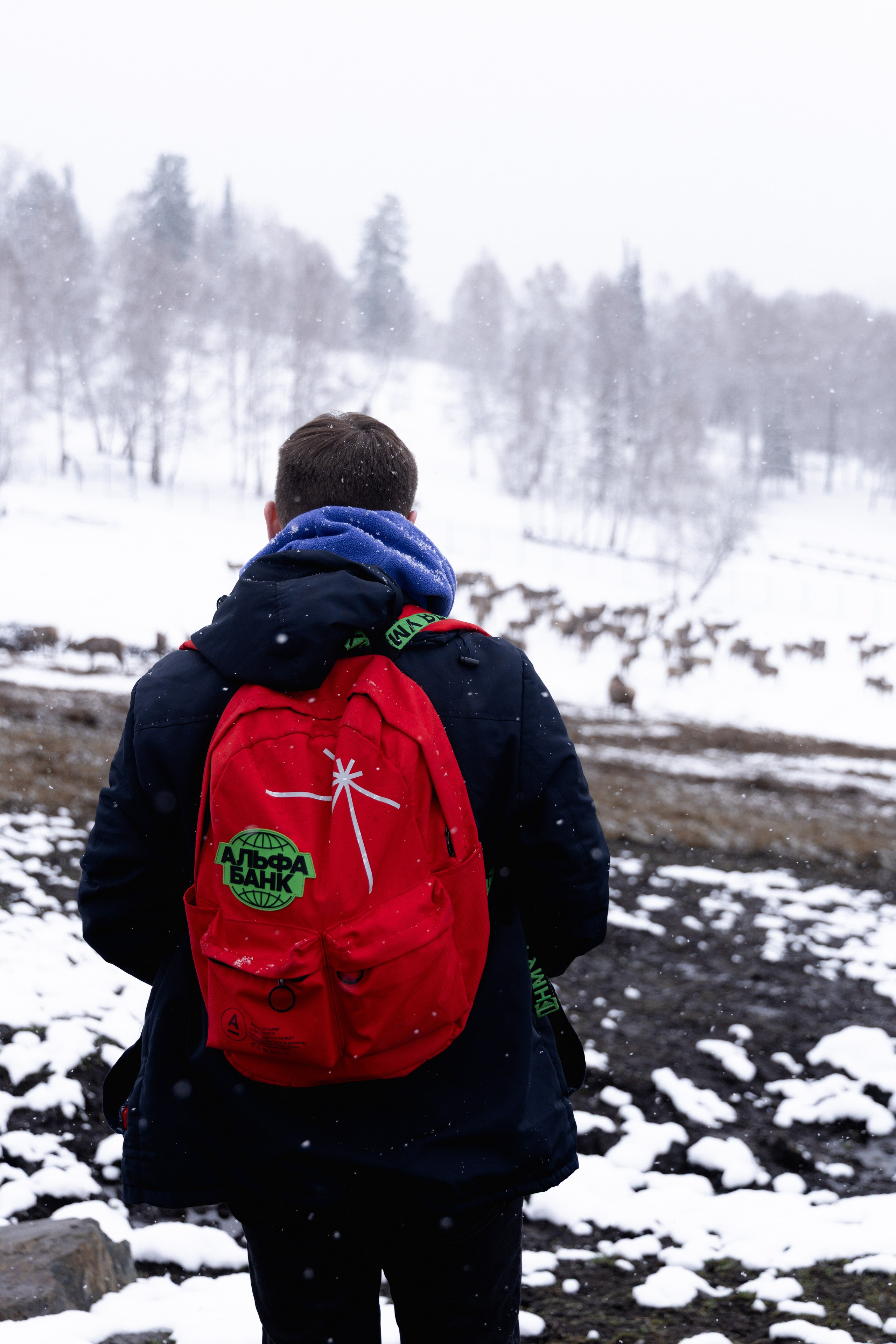 Альфа Банк | Алтай. Репортажный фотограф Сурков Артем Москва
