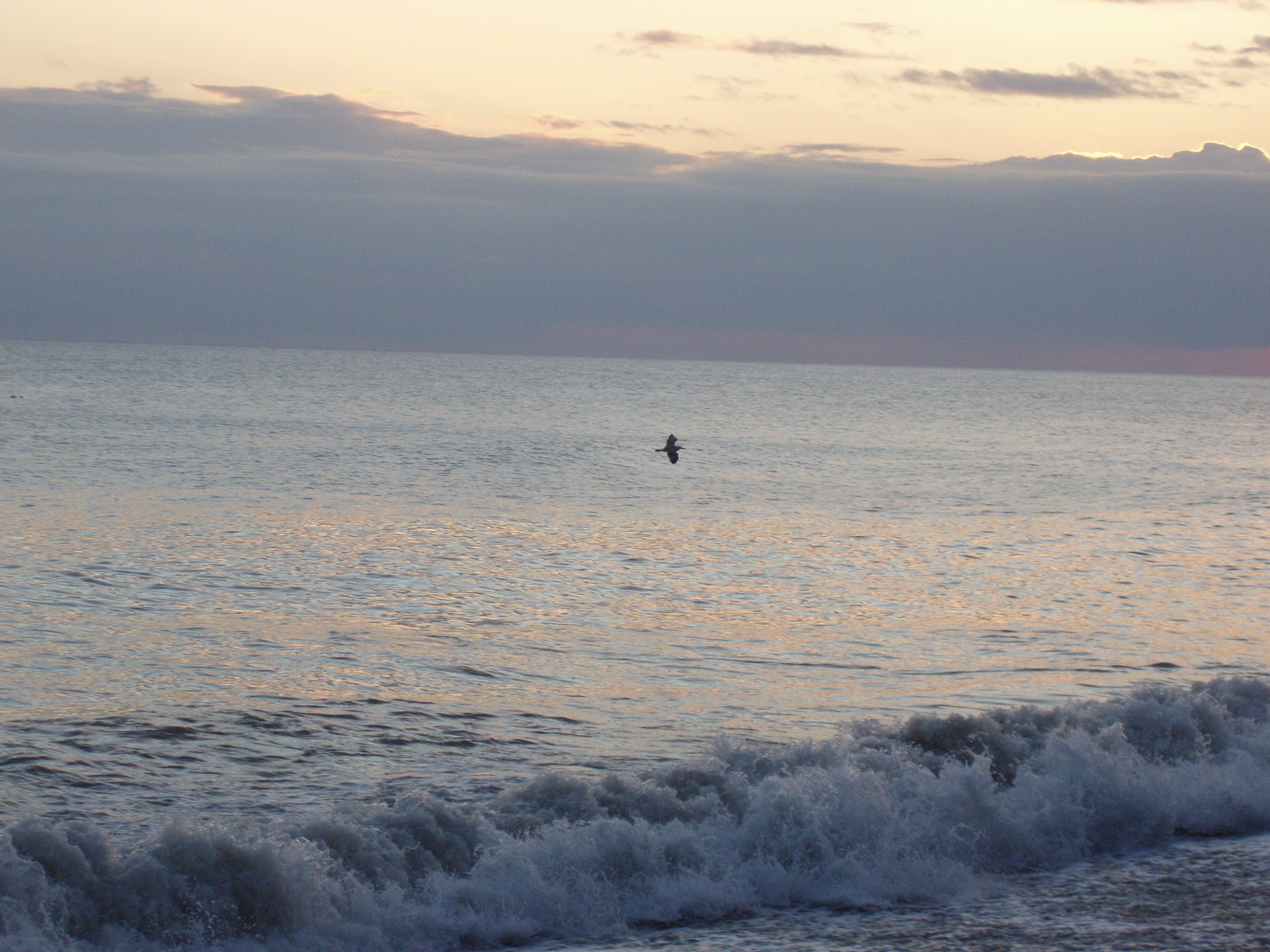 Отпуск 28.07-17.08. Семейный, Свадебный фотограф СПБ Питер— Романова Екатерина