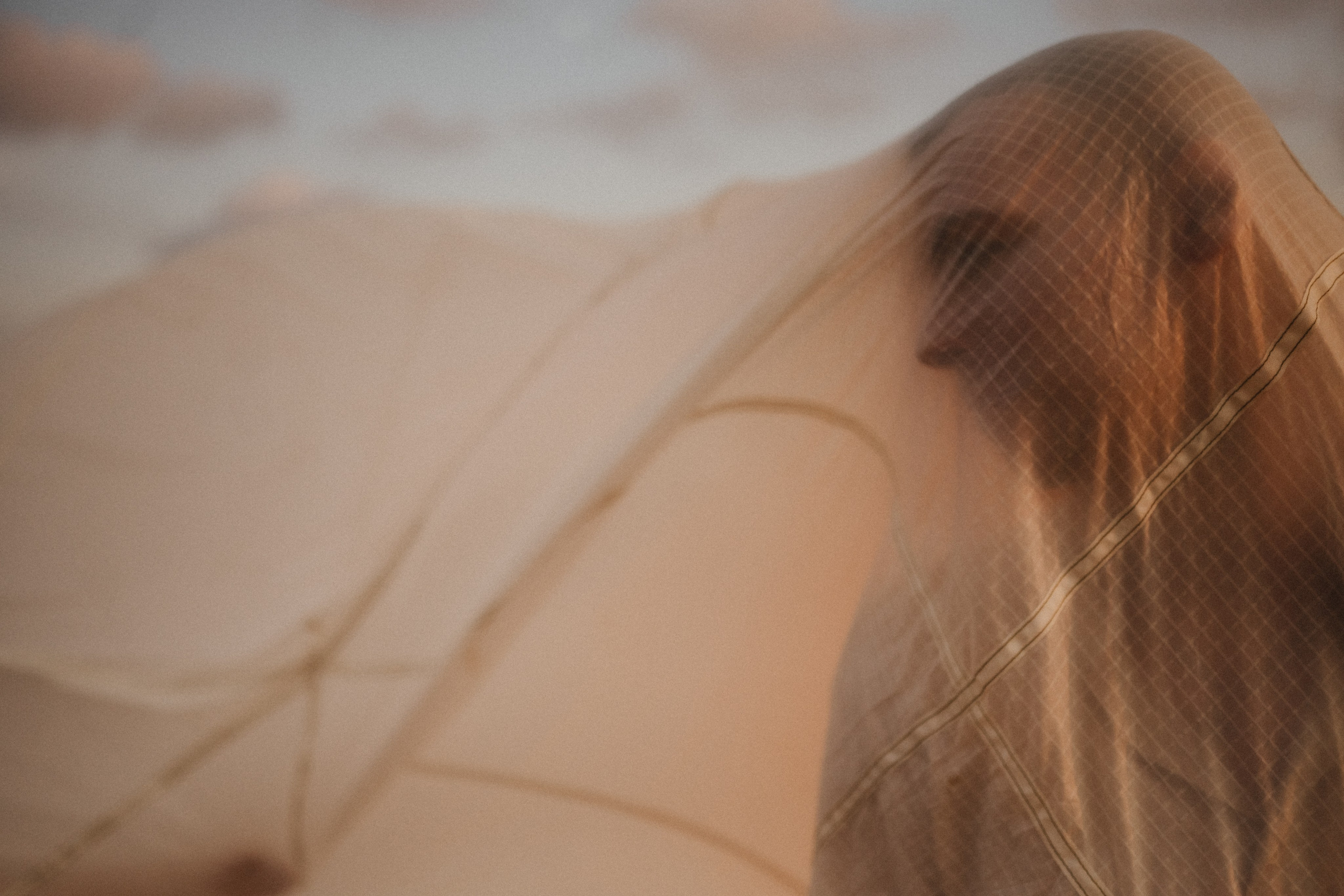 Взлететь как птицы…. Свадебный и семейный фотограф и видеограф, Крым, Москва, Санкт -Петербург