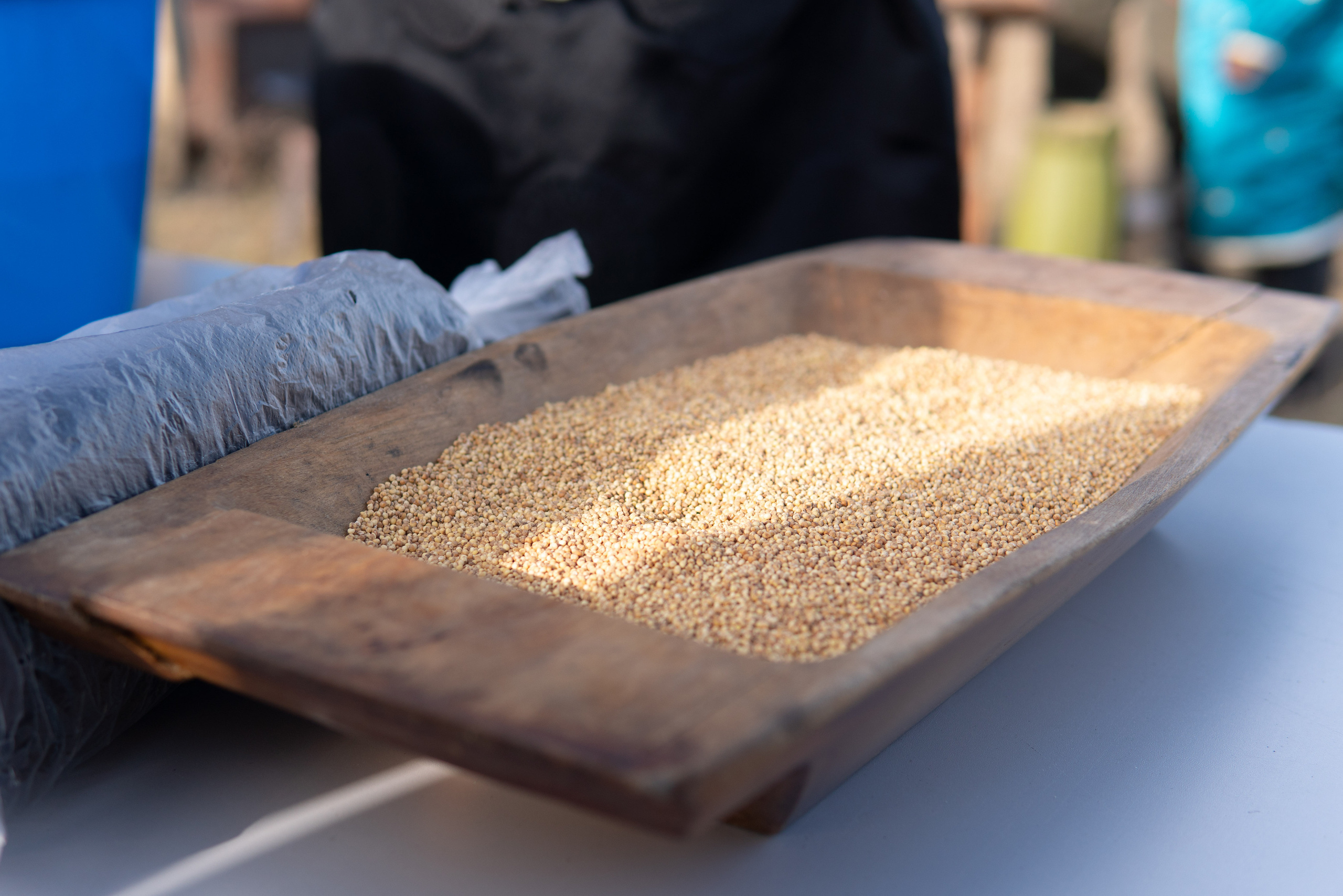 Репортажное портфолио. Медиа-портфолио Марии Абрашиной