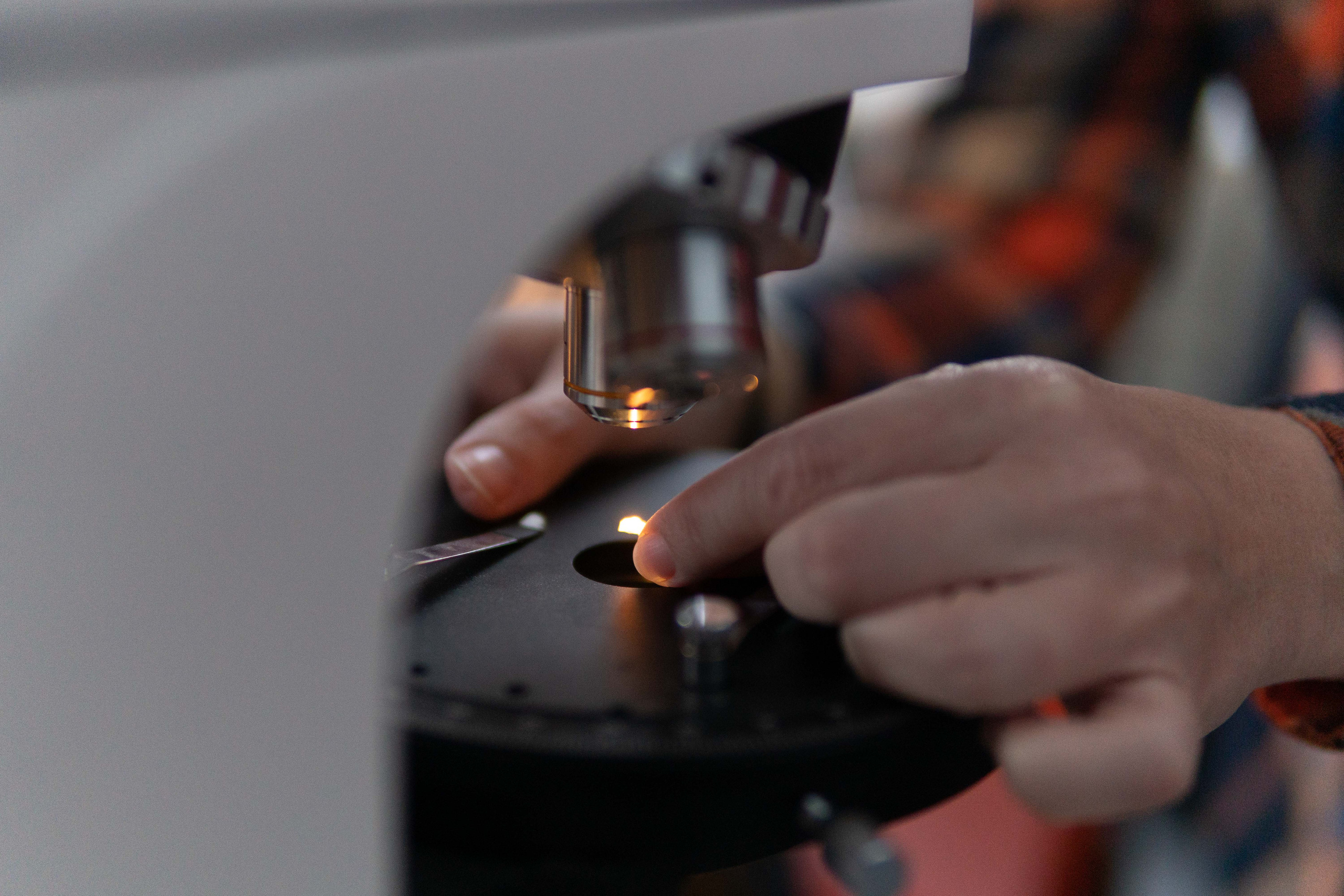 Мастер-классы «Макросъемка в археологии». Медиа-портфолио Марии Абрашиной