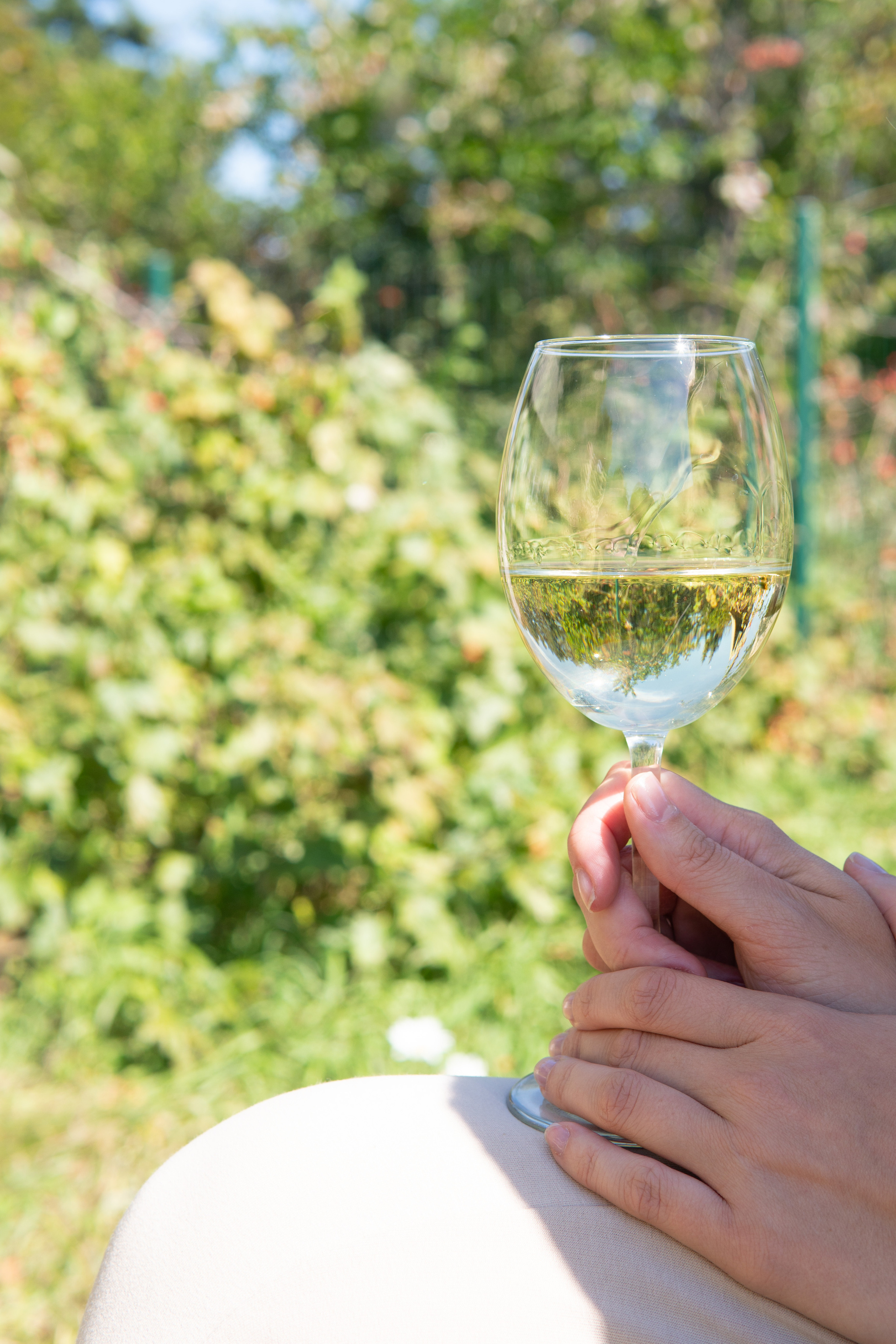 Свадебный репортаж Екатерины и Даниила. Медиа-портфолио Марии Абрашиной