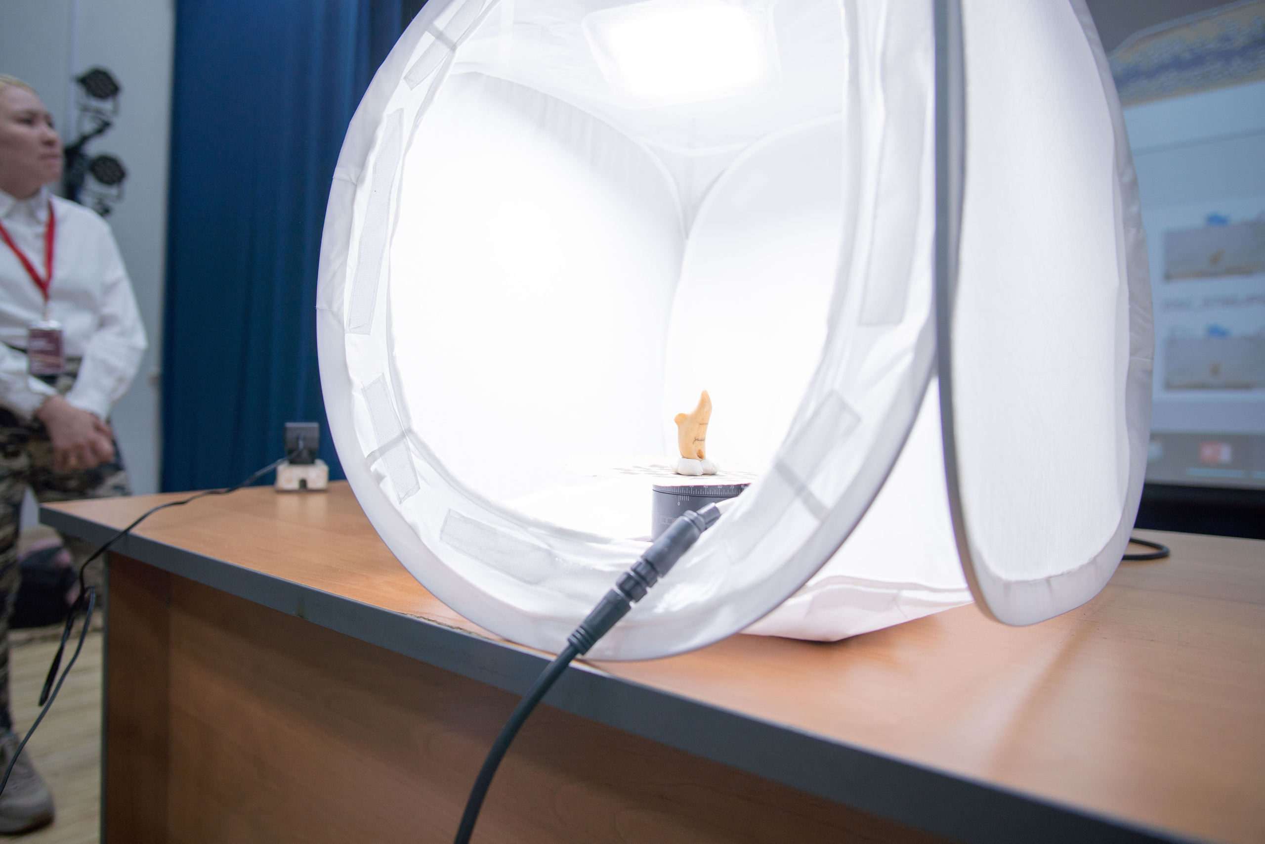 Конференция «РАЭСК-2021». Медиа-портфолио Марии Абрашиной