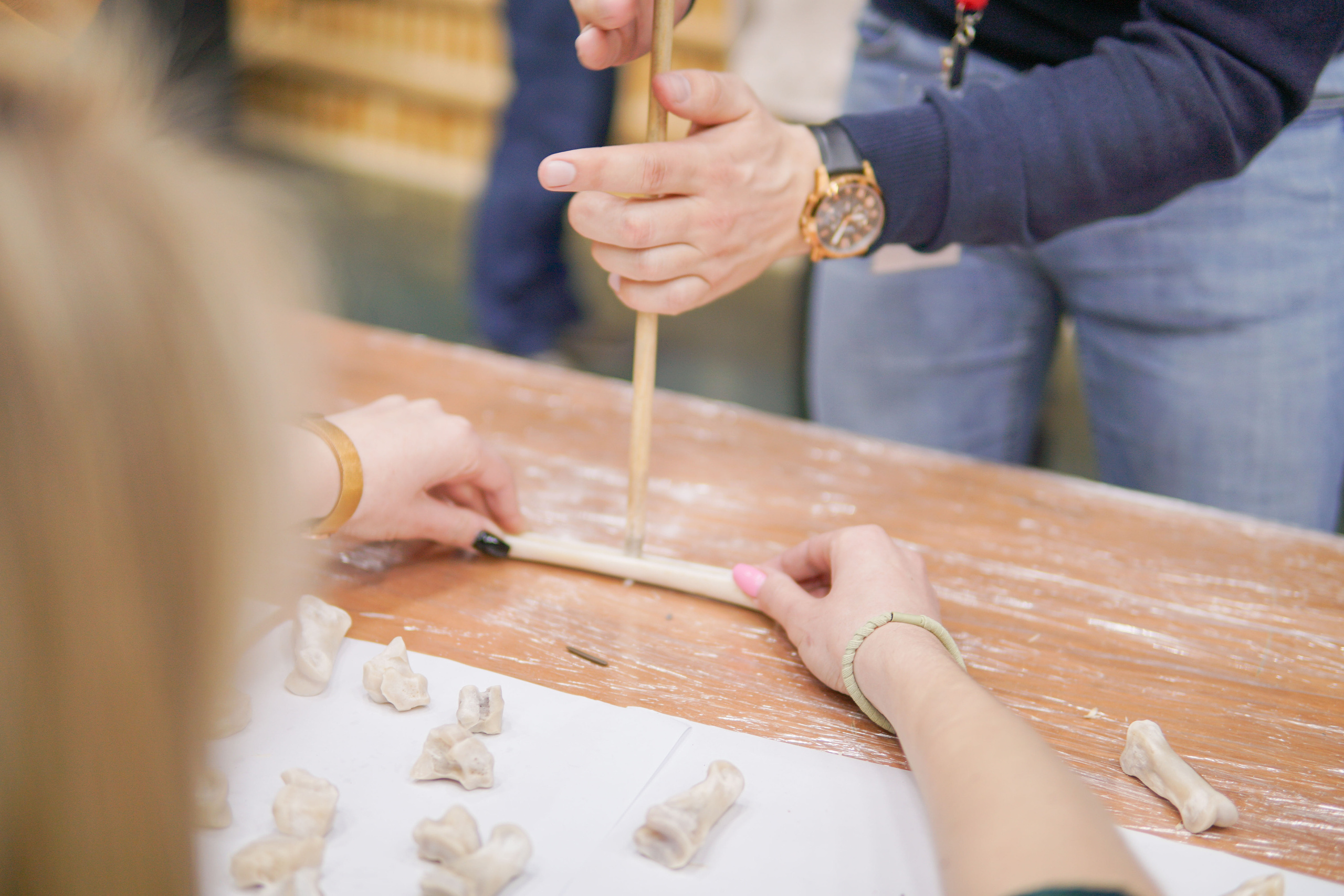 Конференция «РАЭСК-2021». Медиа-портфолио Марии Абрашиной