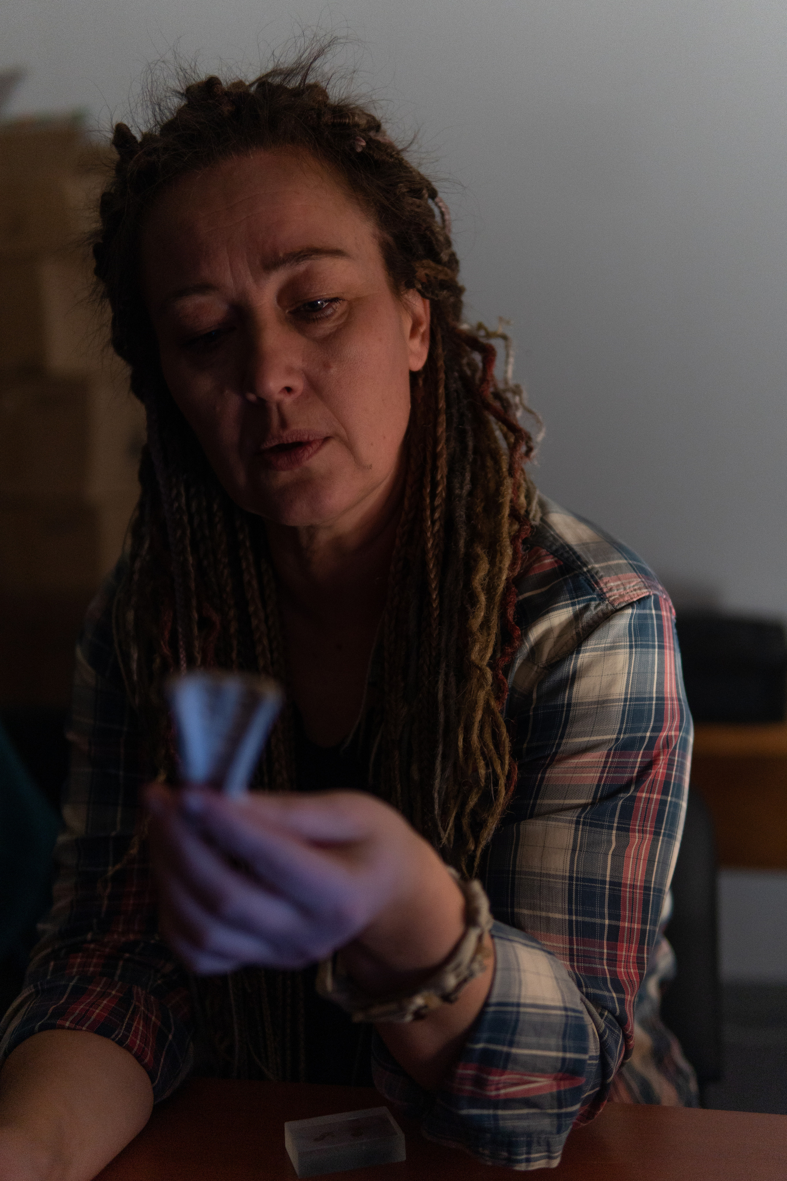 Мастер-классы «Макросъемка в археологии». Медиа-портфолио Марии Абрашиной