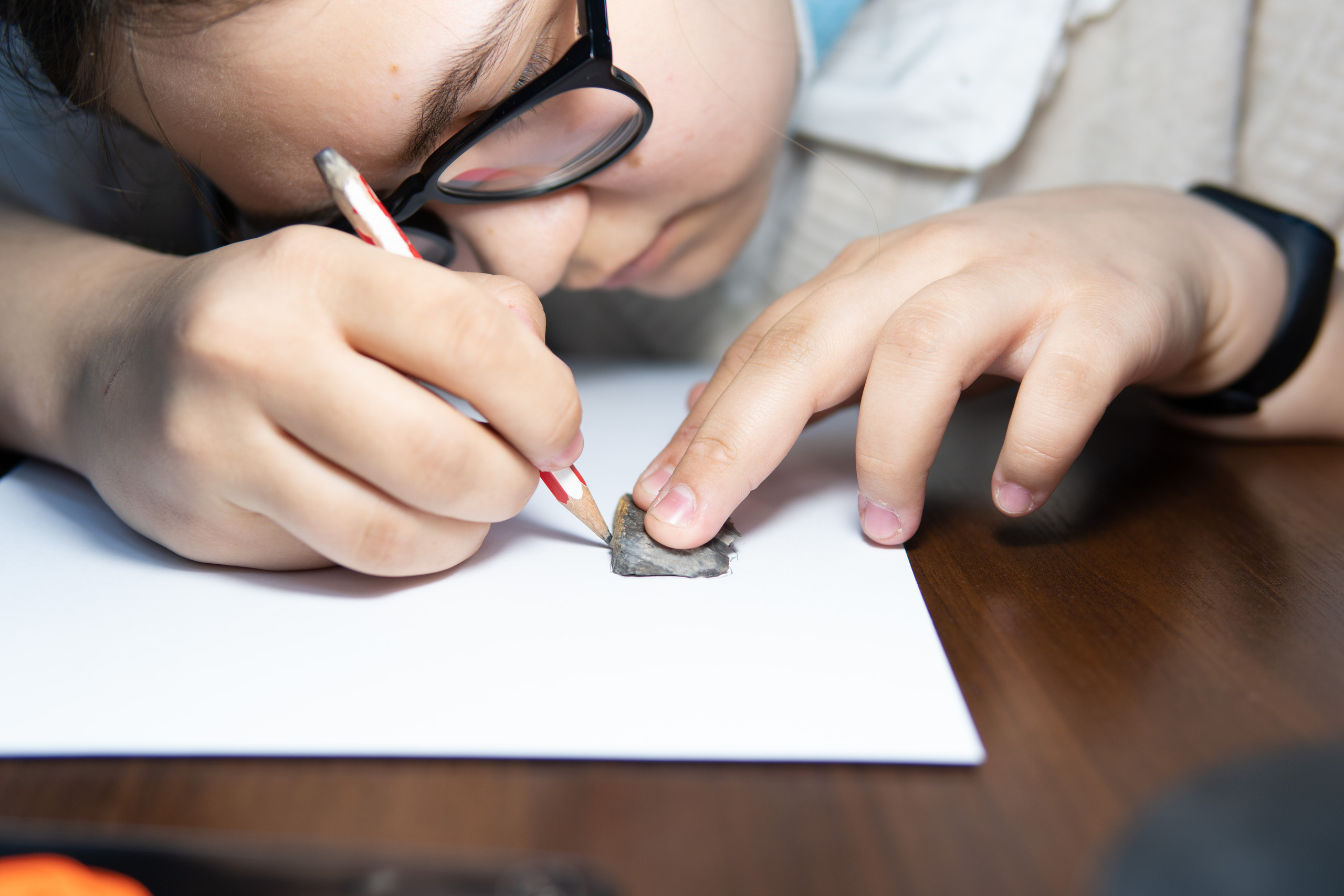 Мероприятия студенческого археологического клуба. Медиа-портфолио Марии Абрашиной