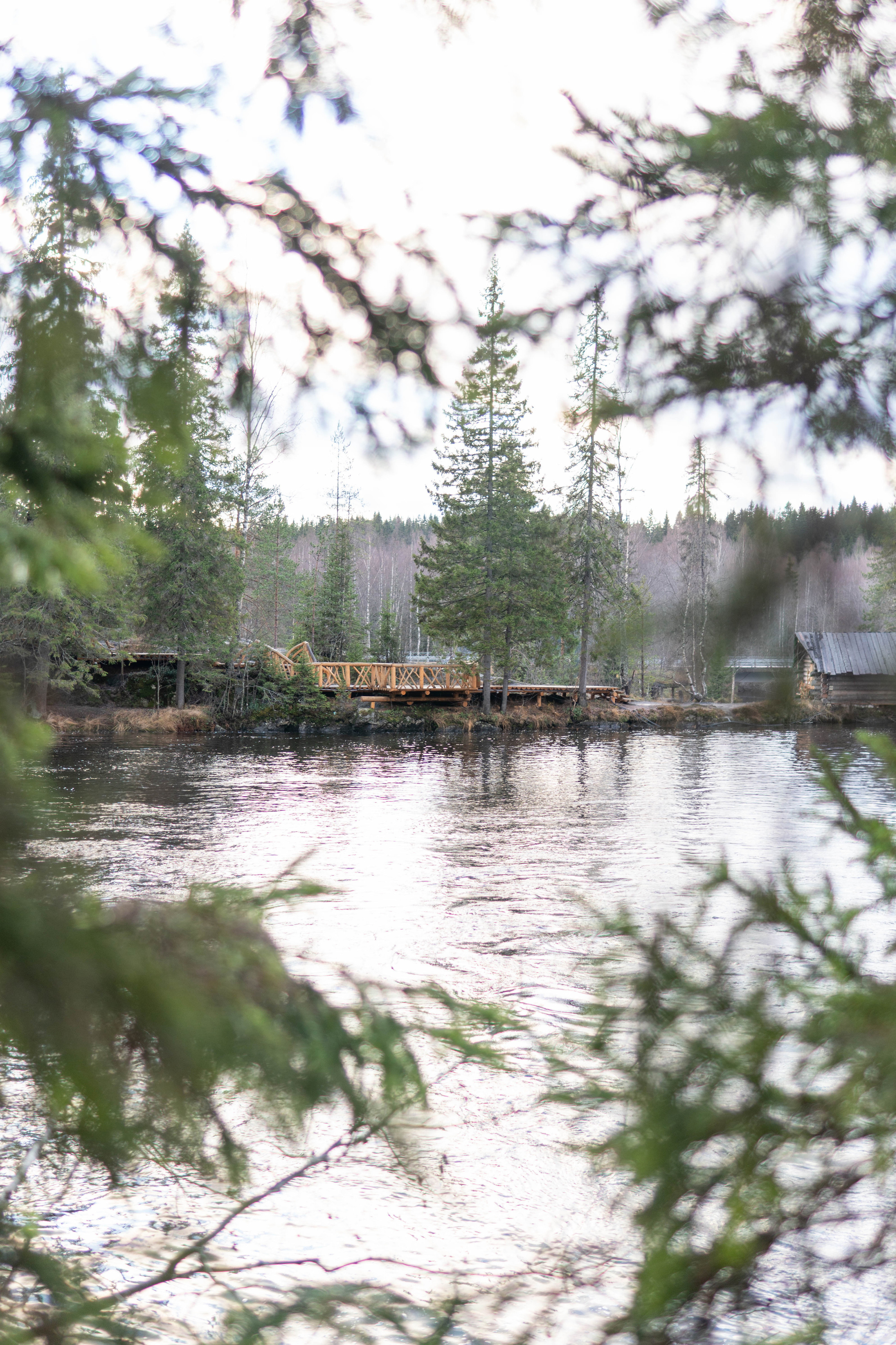 Фотографии с путешествия в республику Карелия. Медиа-портфолио Марии Абрашиной