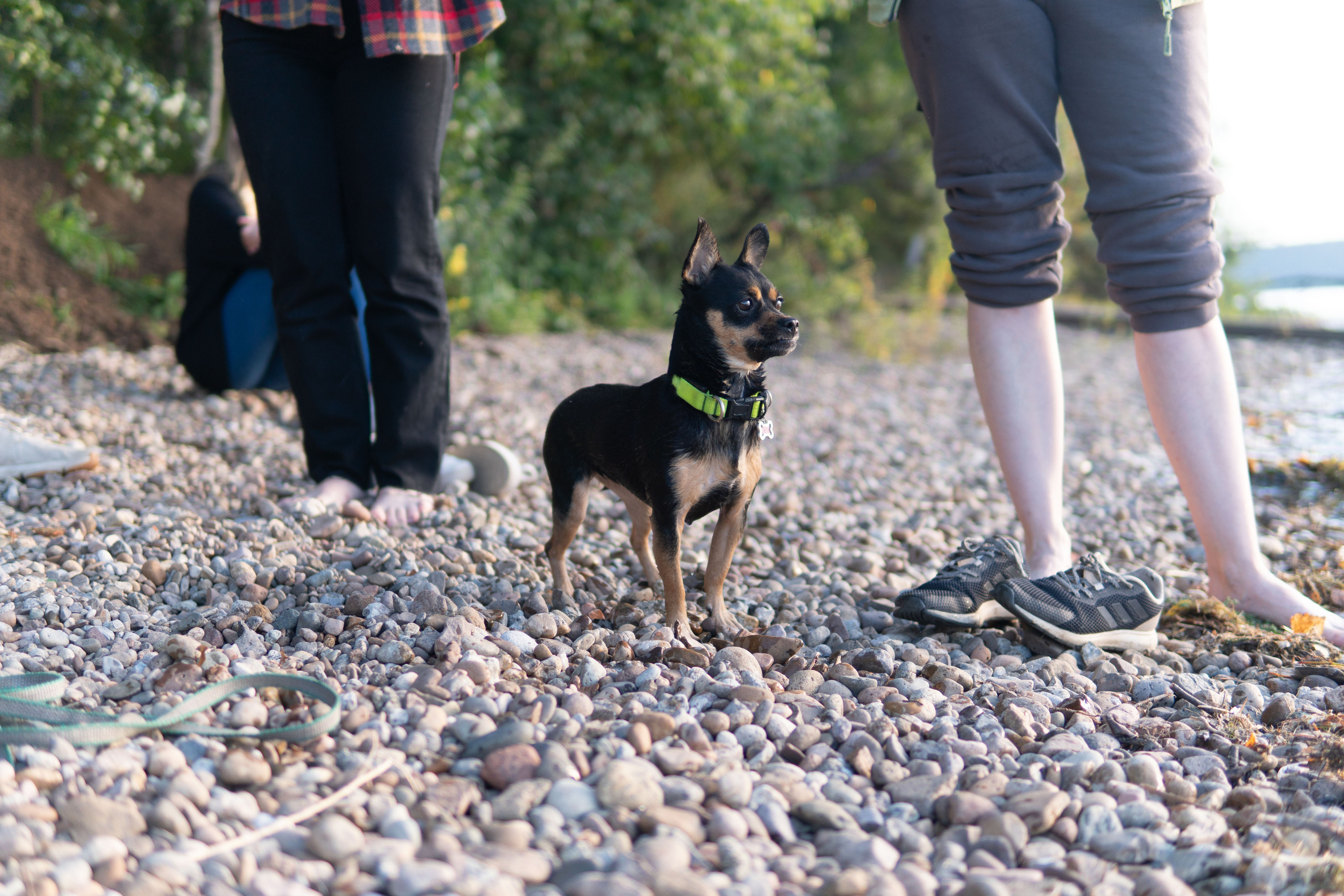 Свадебный репортаж Екатерины и Даниила. Медиа-портфолио Марии Абрашиной