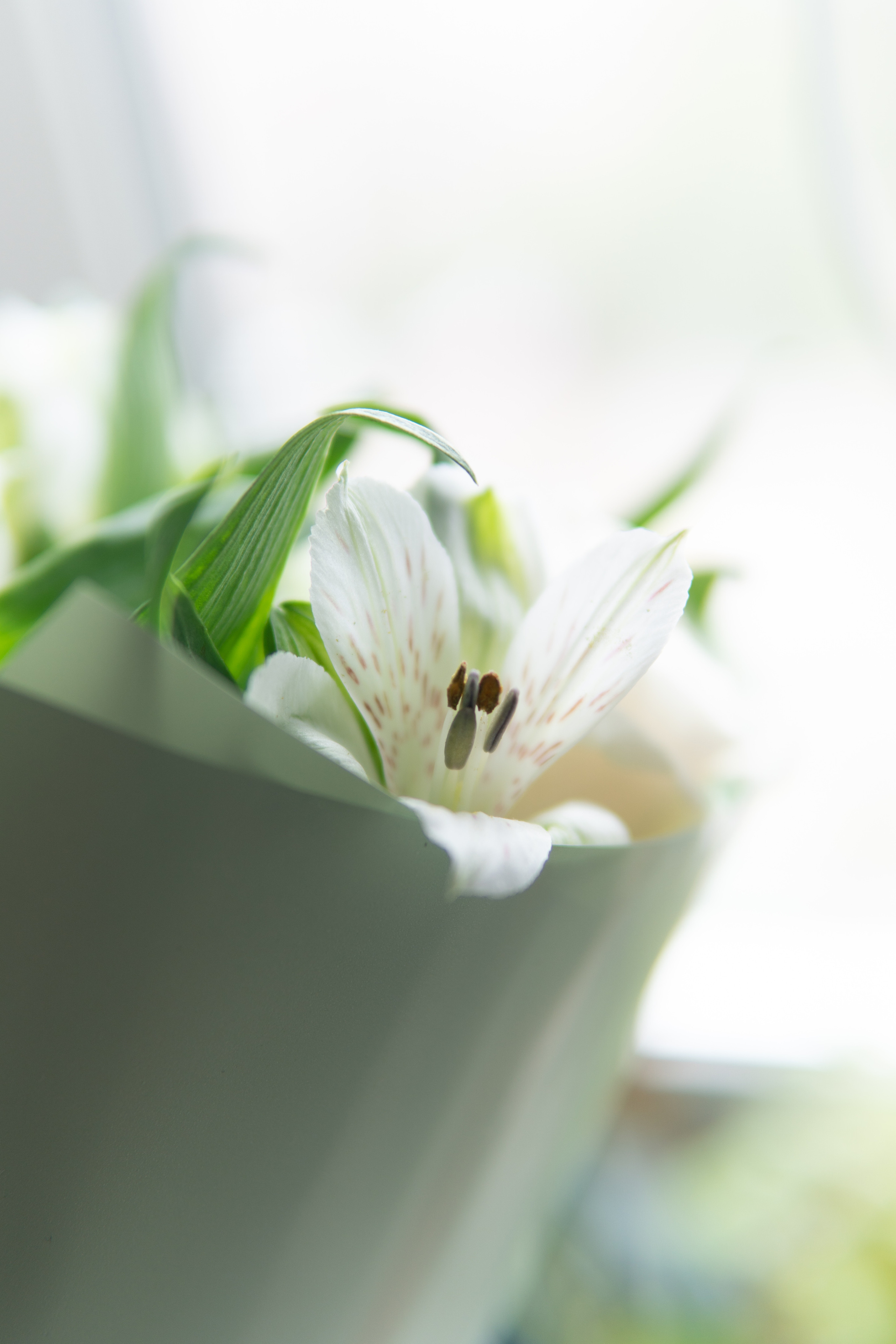 Свадебный репортаж Ксении и Сергея. Медиа-портфолио Марии Абрашиной