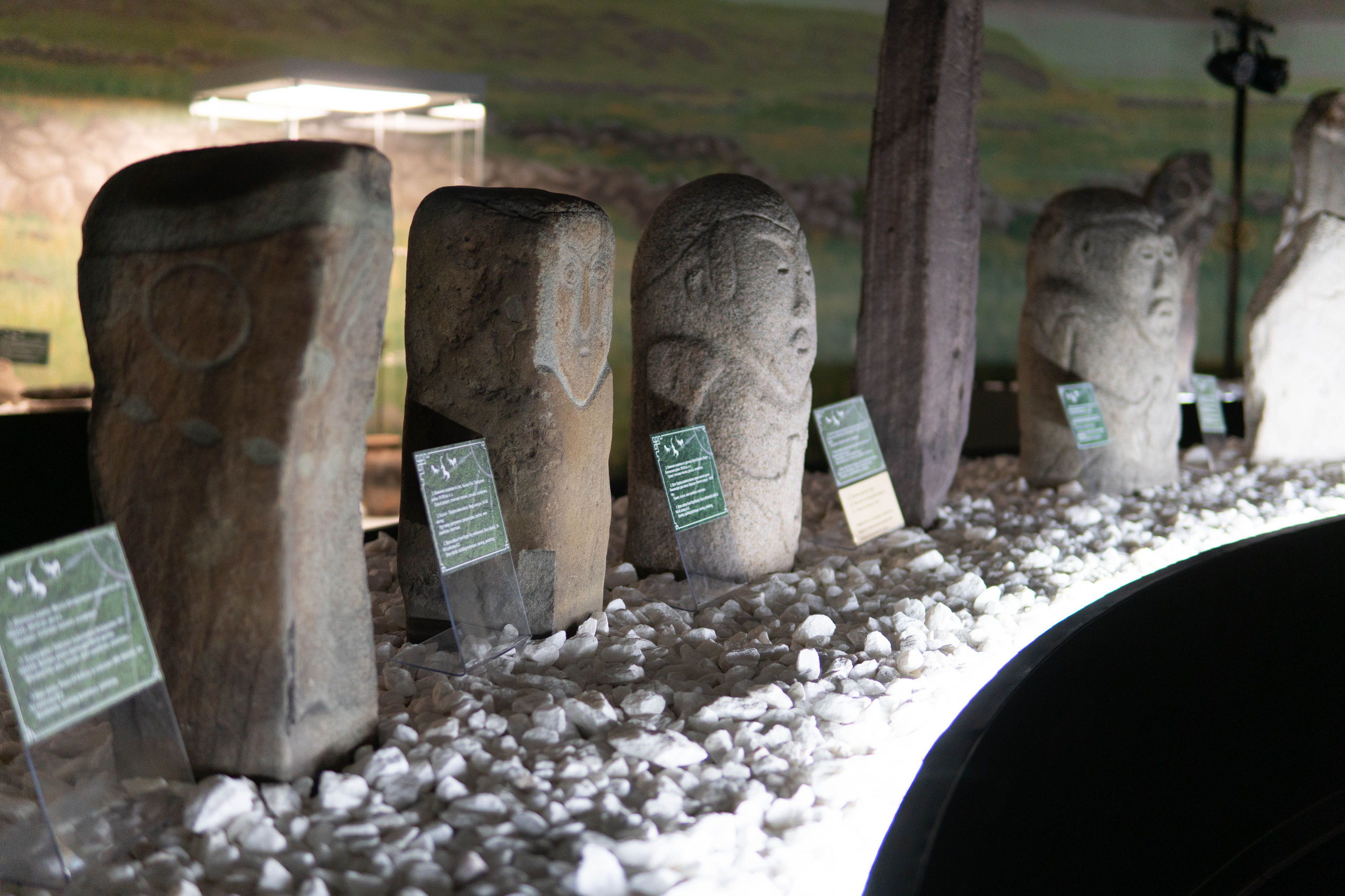 Конференция «РАЭСК-2022». Медиа-портфолио Марии Абрашиной