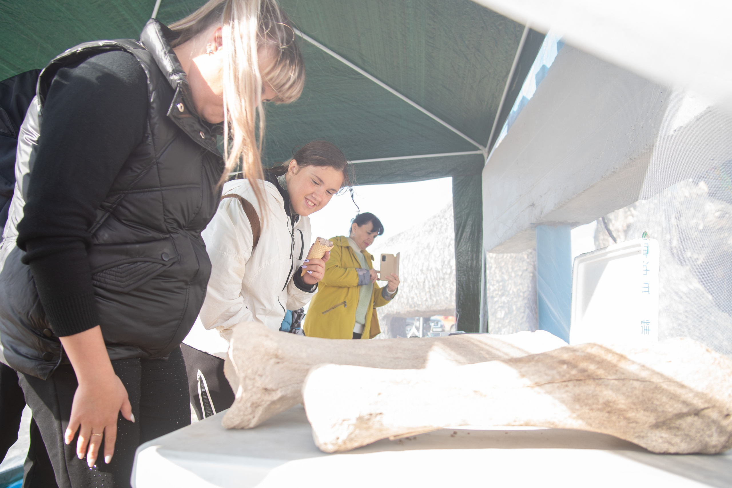 Мероприятия студенческого археологического клуба. Медиа-портфолио Марии Абрашиной