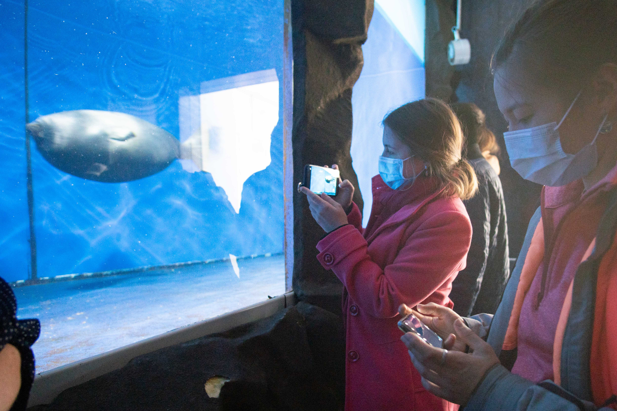 Конференция «РАЭСК-2021». Медиа-портфолио Марии Абрашиной