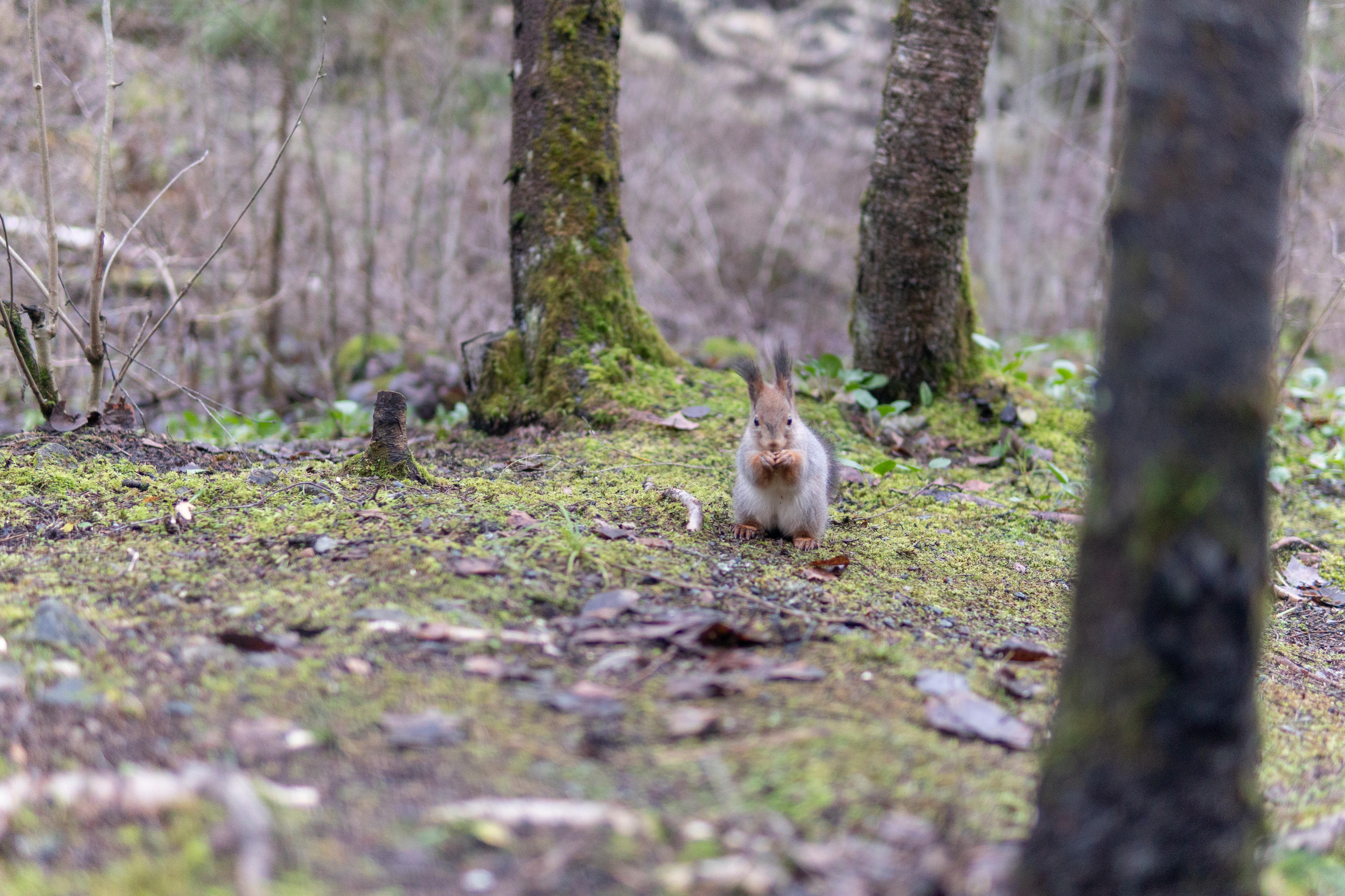 Фотографии с путешествия в республику Карелия. Медиа-портфолио Марии Абрашиной