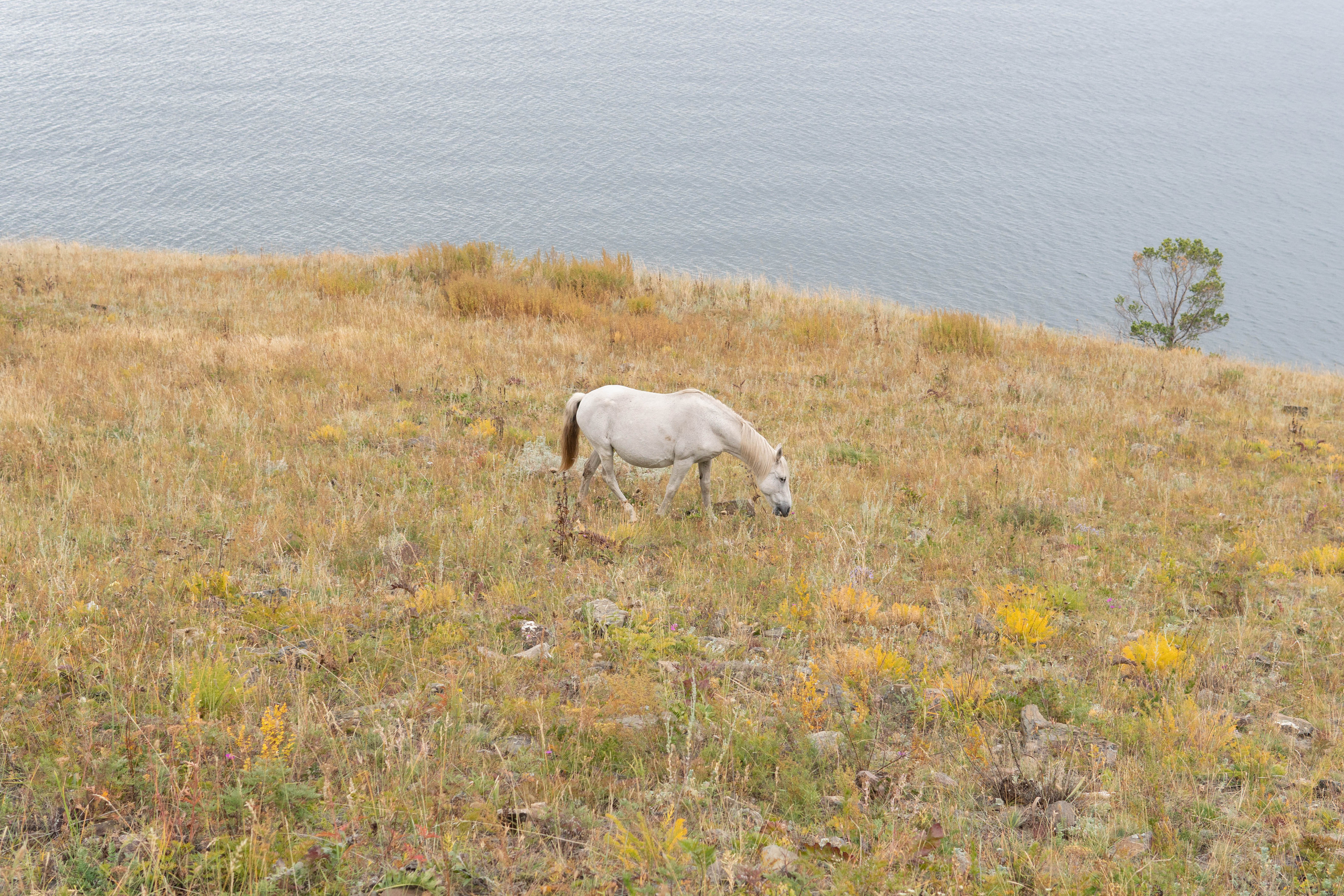 Медиа-портфолио Марии Абрашиной