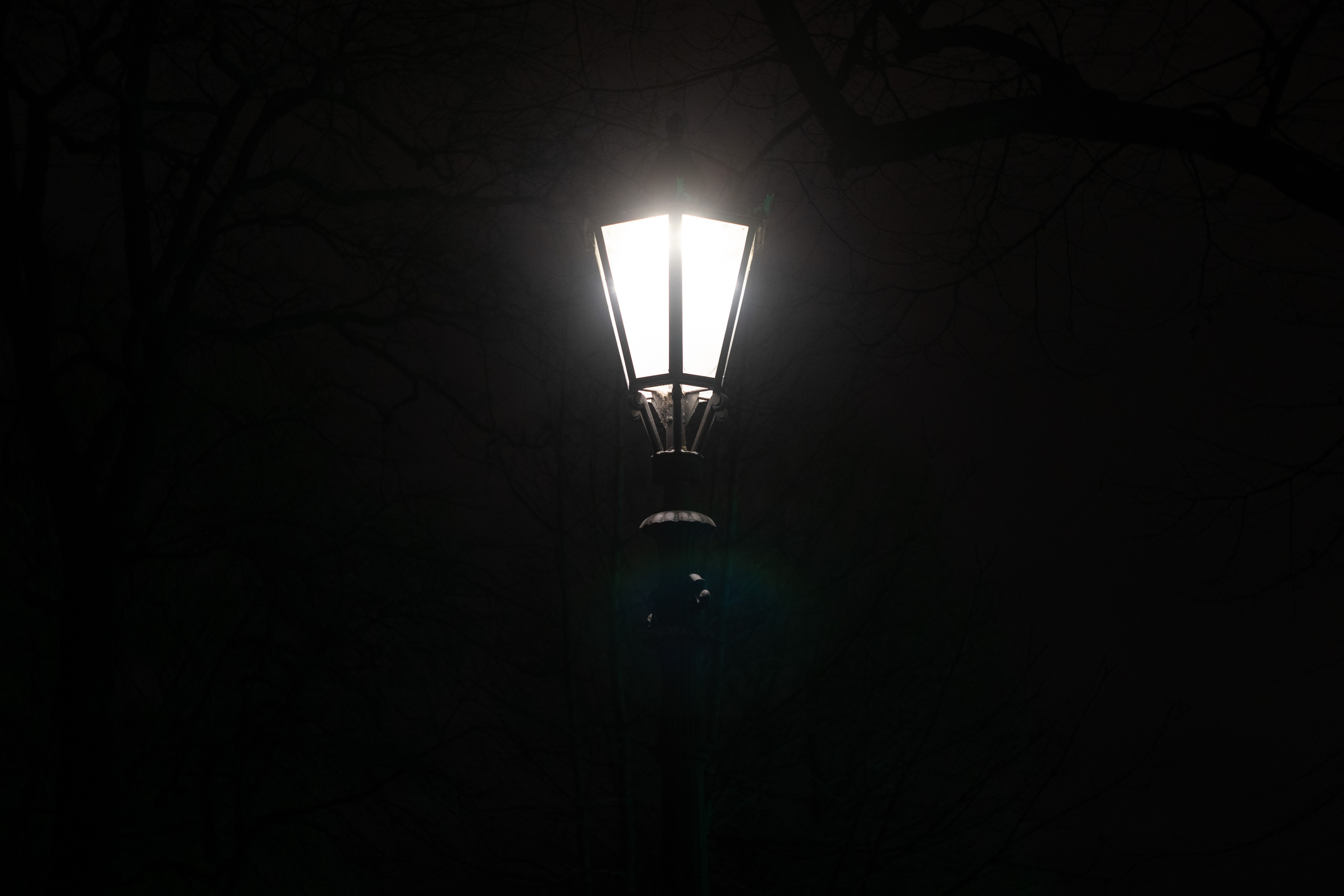 Фотографии с Санкт-Петербурга. Медиа-портфолио Марии Абрашиной