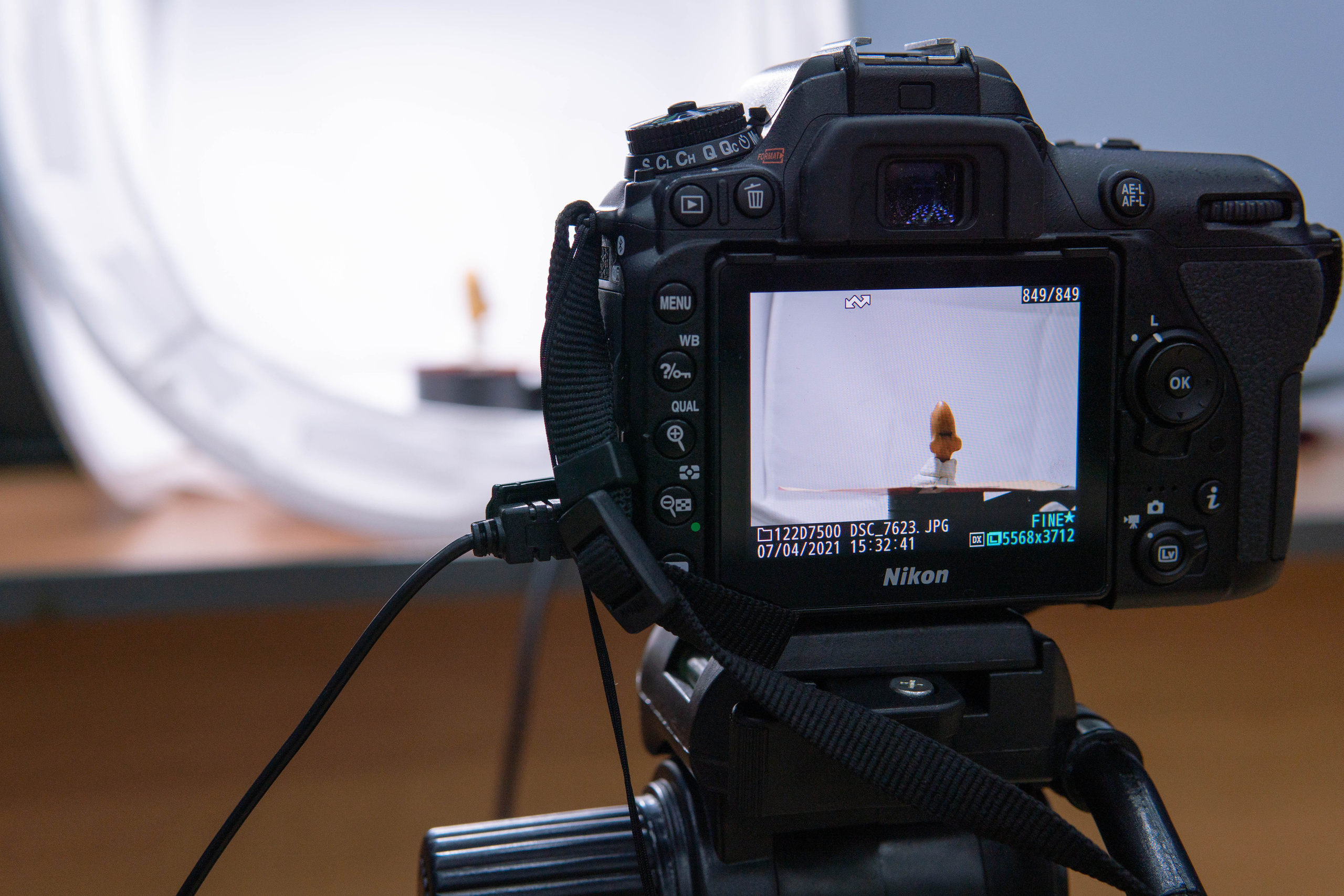 Конференция «РАЭСК-2021». Медиа-портфолио Марии Абрашиной