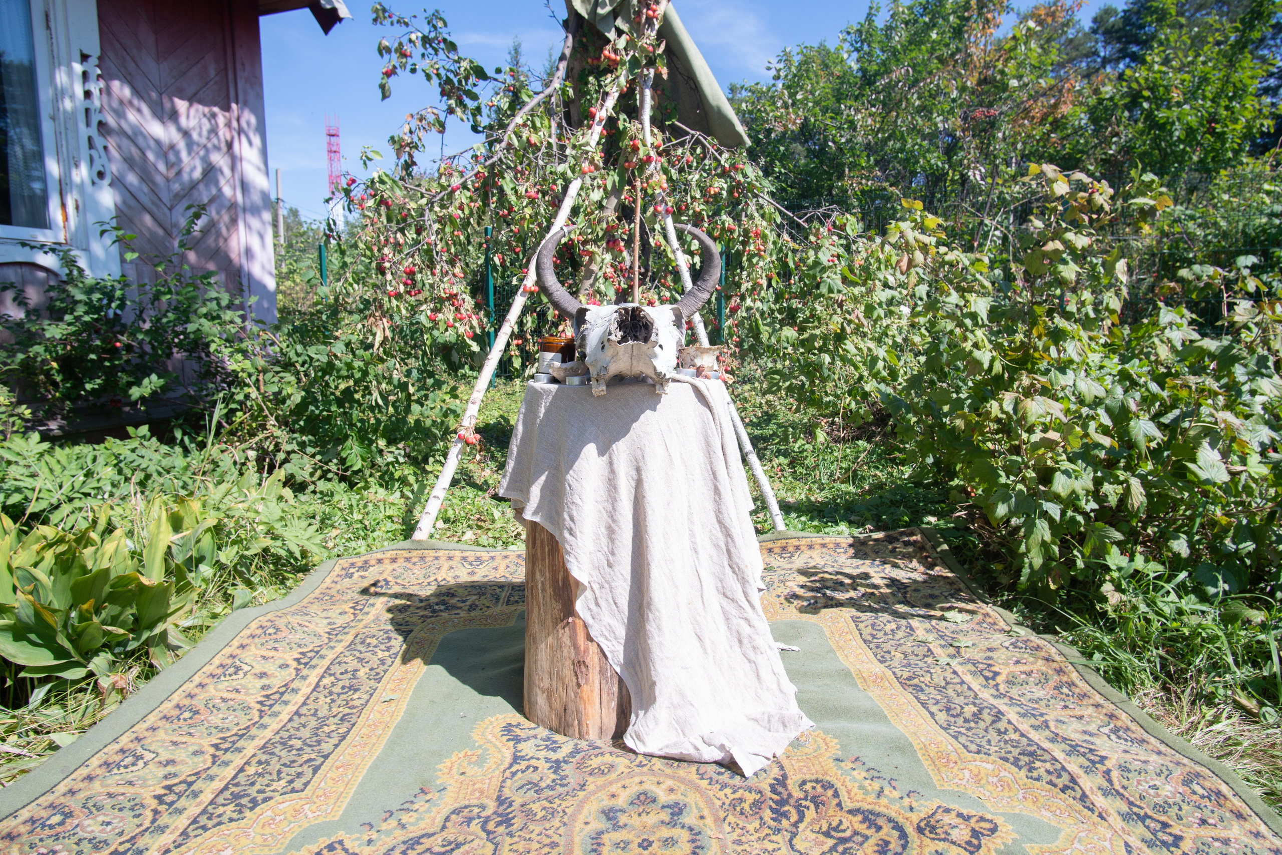 Свадебный репортаж Екатерины и Даниила. Медиа-портфолио Марии Абрашиной