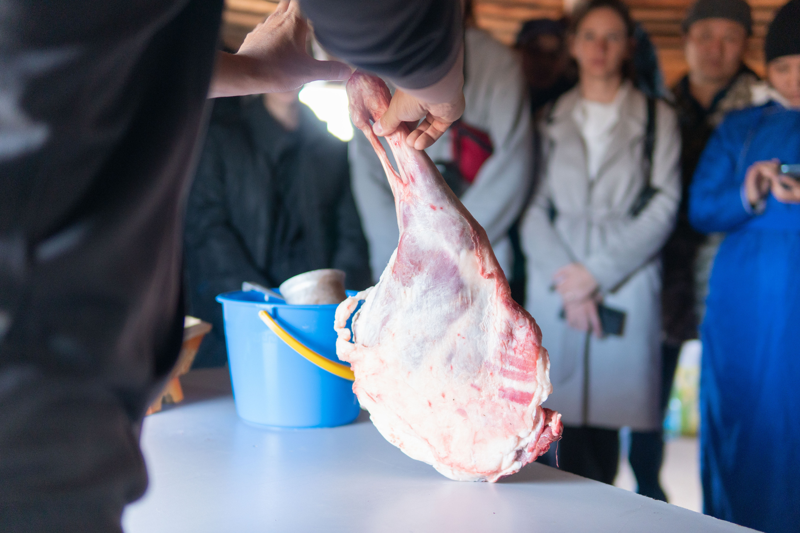 Конференция «РАЭСК-2022». Медиа-портфолио Марии Абрашиной