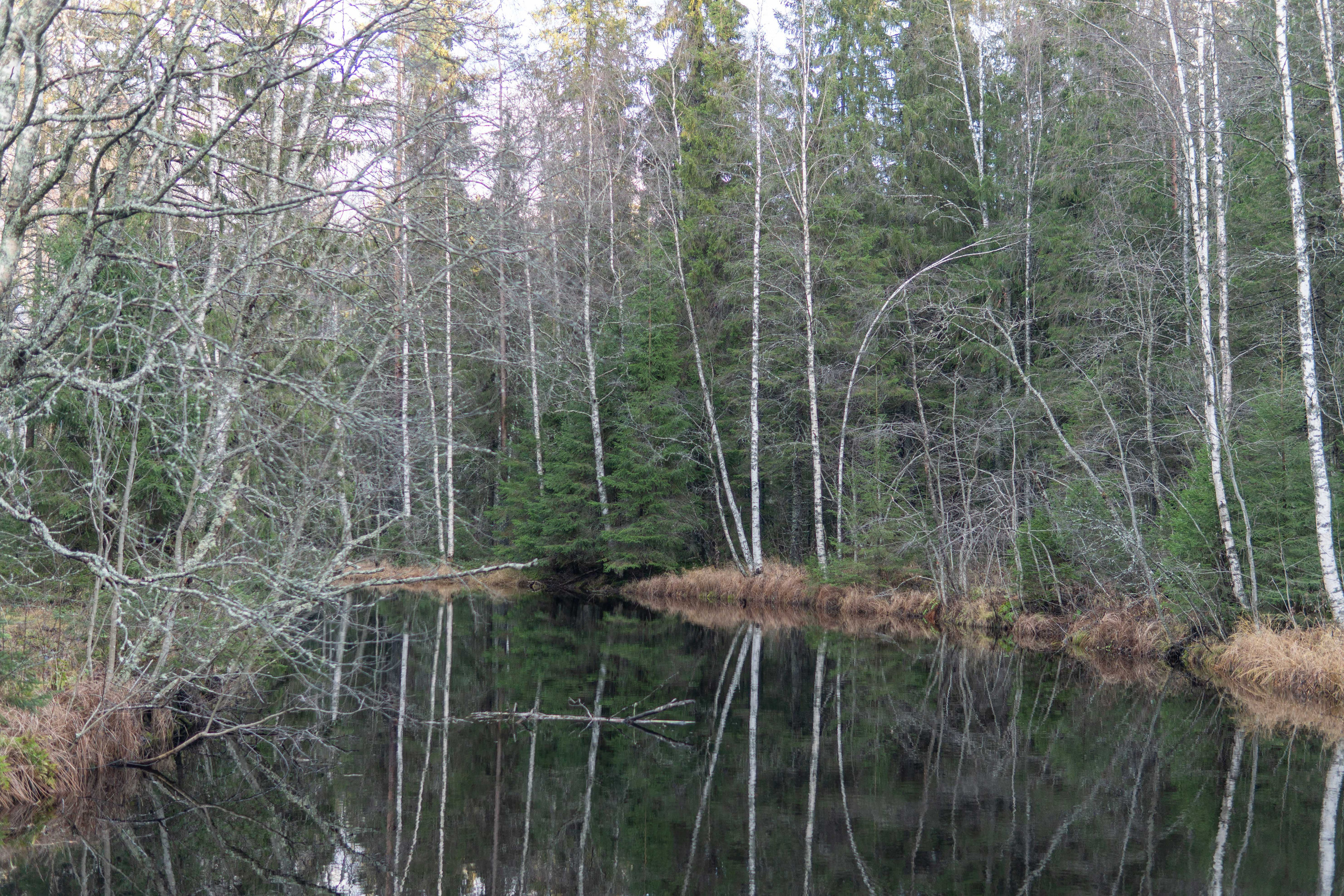 Фотографии с путешествия в республику Карелия. Медиа-портфолио Марии Абрашиной