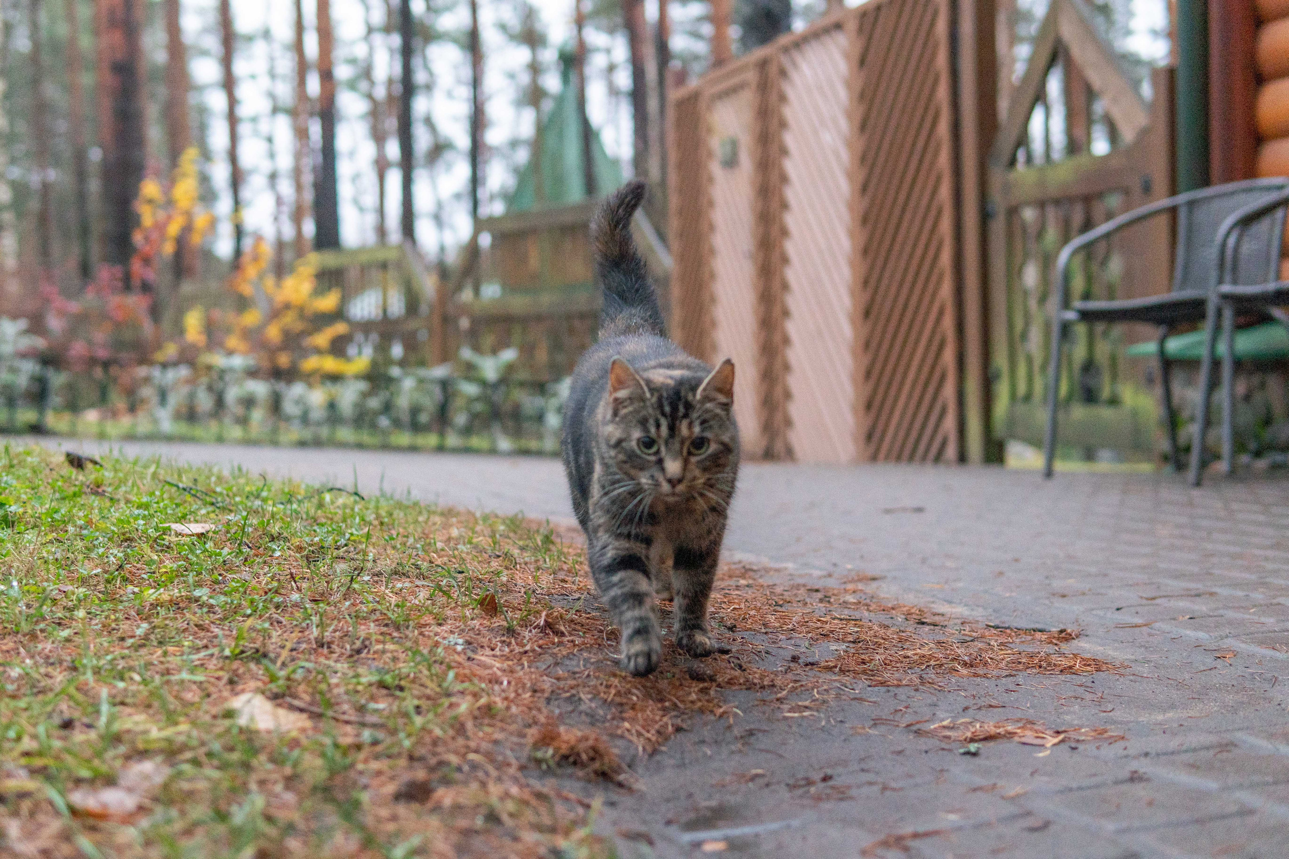 Фотографии с путешествия в республику Карелия. Медиа-портфолио Марии Абрашиной