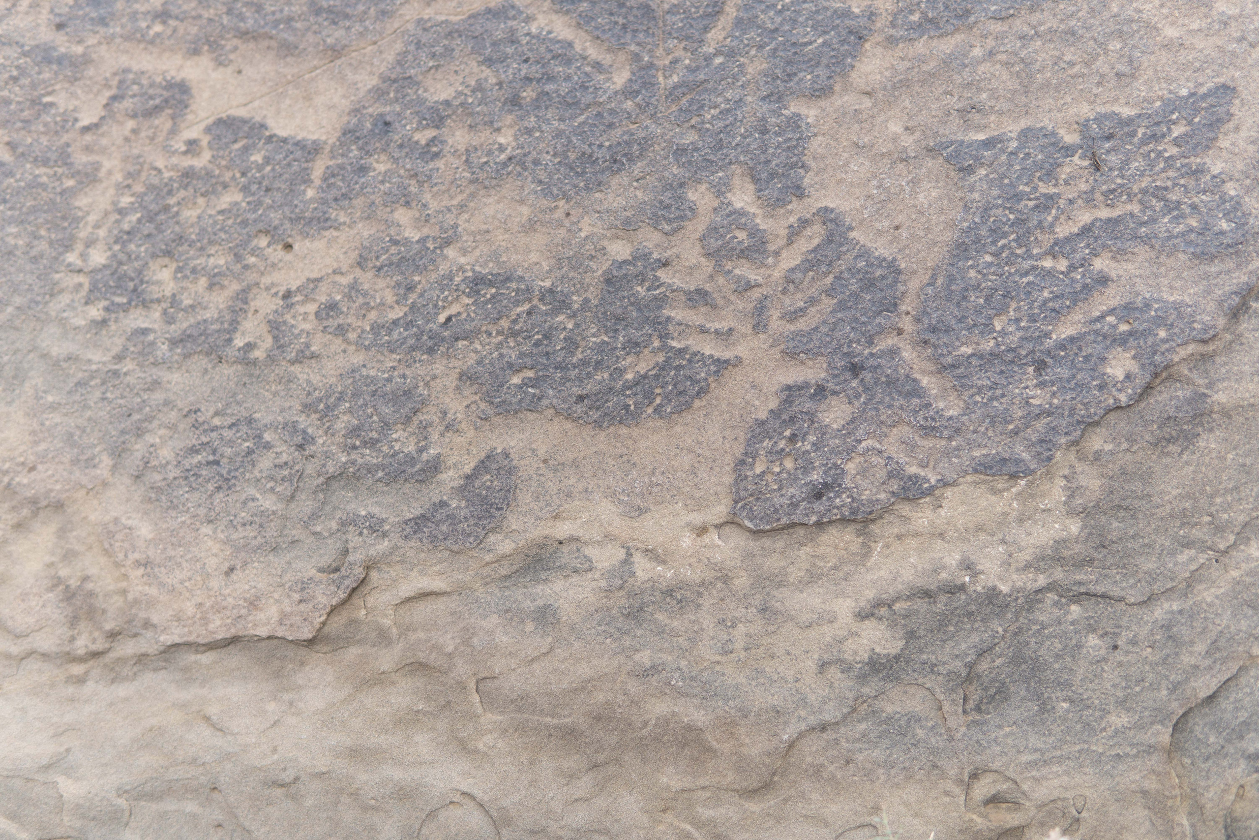 Конференция «РАЭСК-2022». Медиа-портфолио Марии Абрашиной