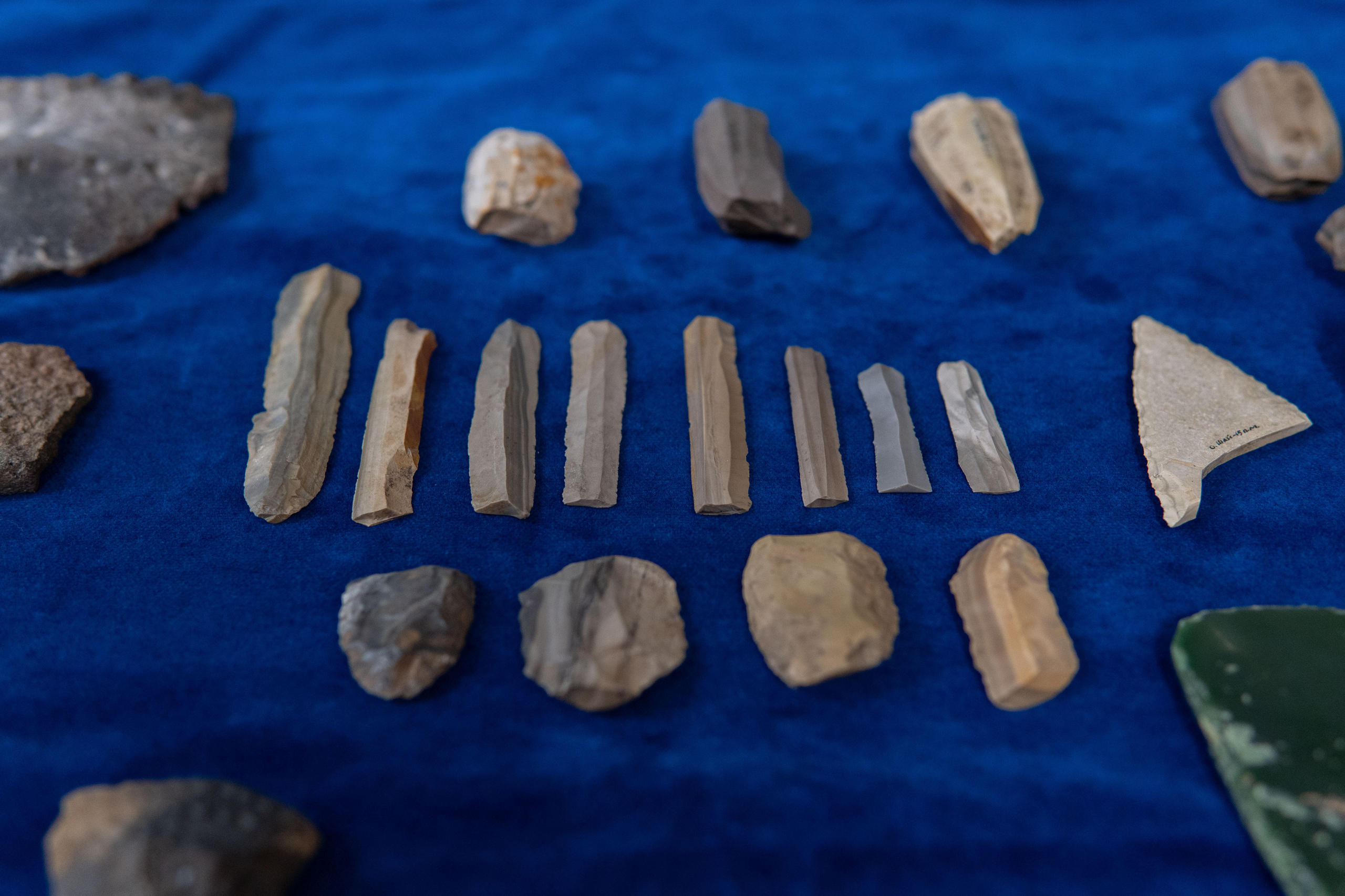 Международная акция «Ночь музеев». Медиа-портфолио Марии Абрашиной