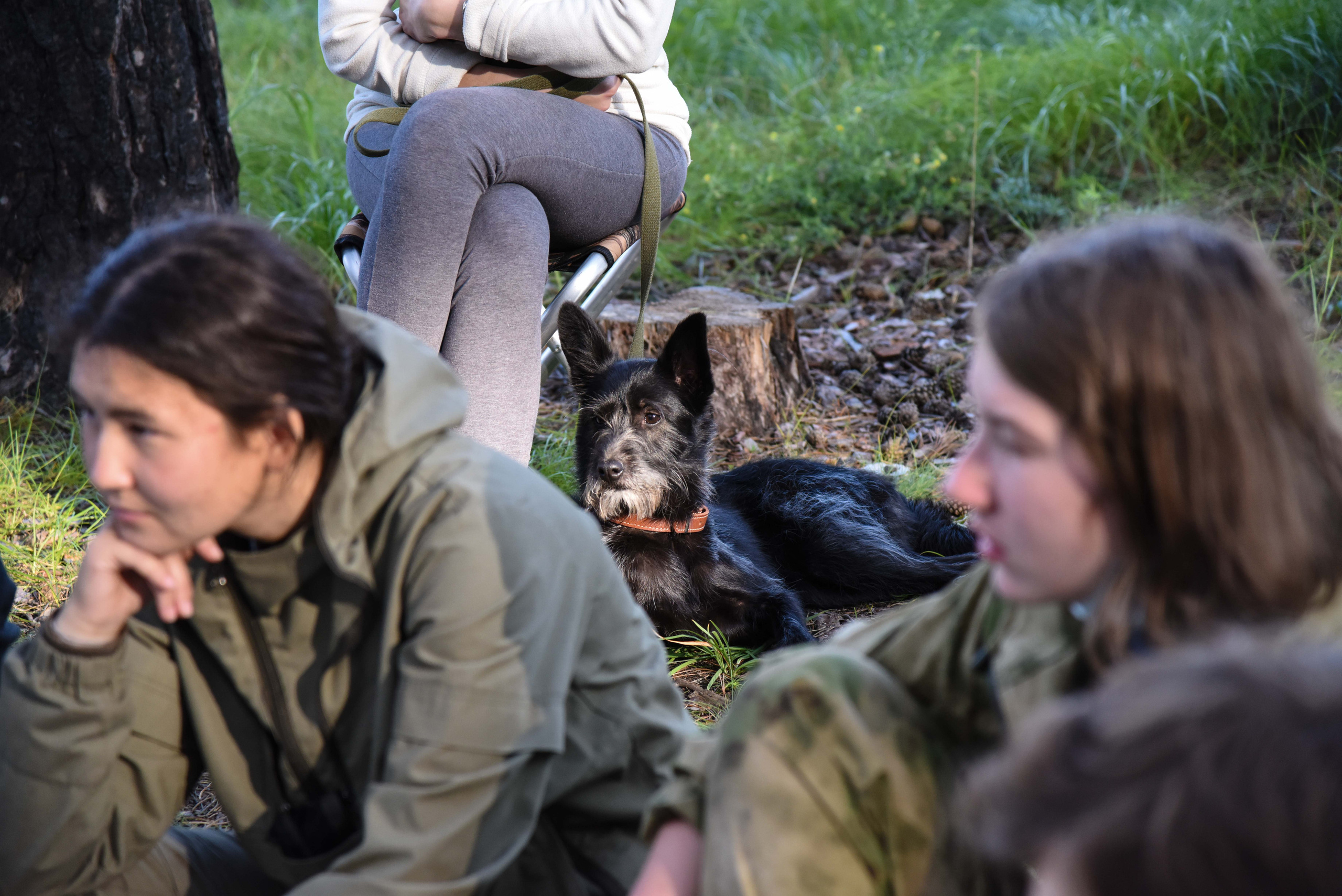 Полевая геоархеологическая школа. Медиа-портфолио Марии Абрашиной