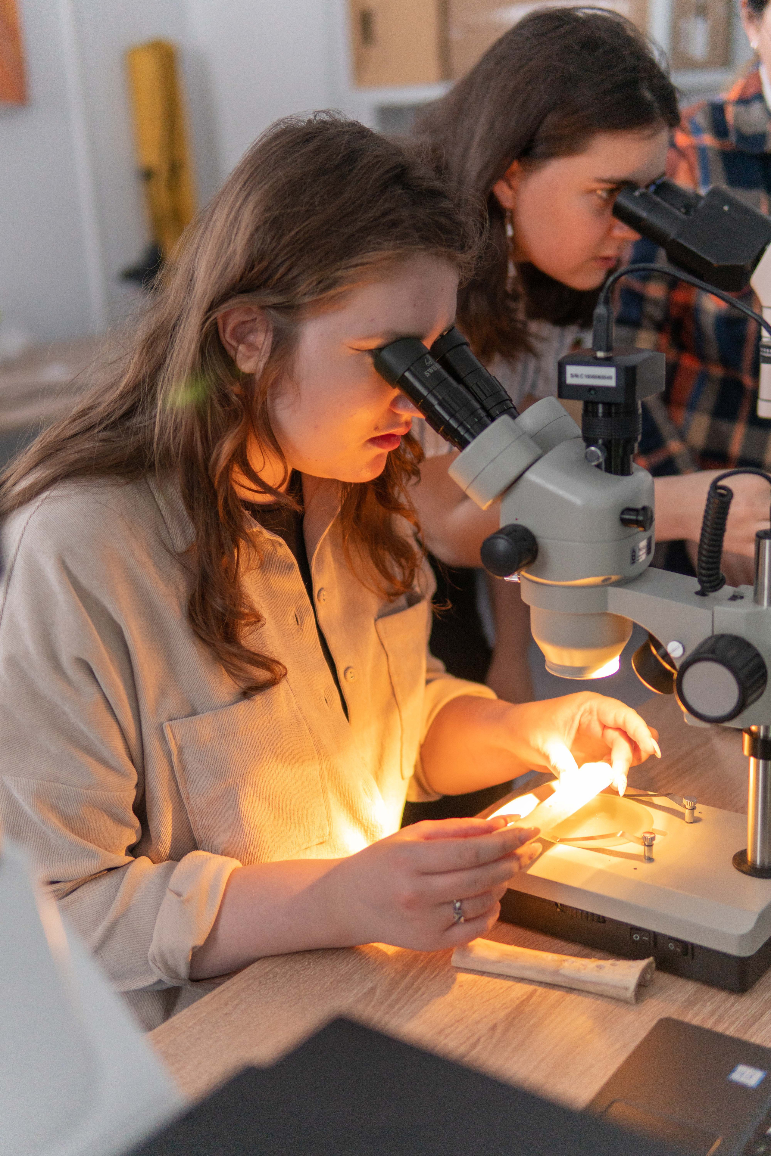 Мастер-классы «Макросъемка в археологии». Медиа-портфолио Марии Абрашиной