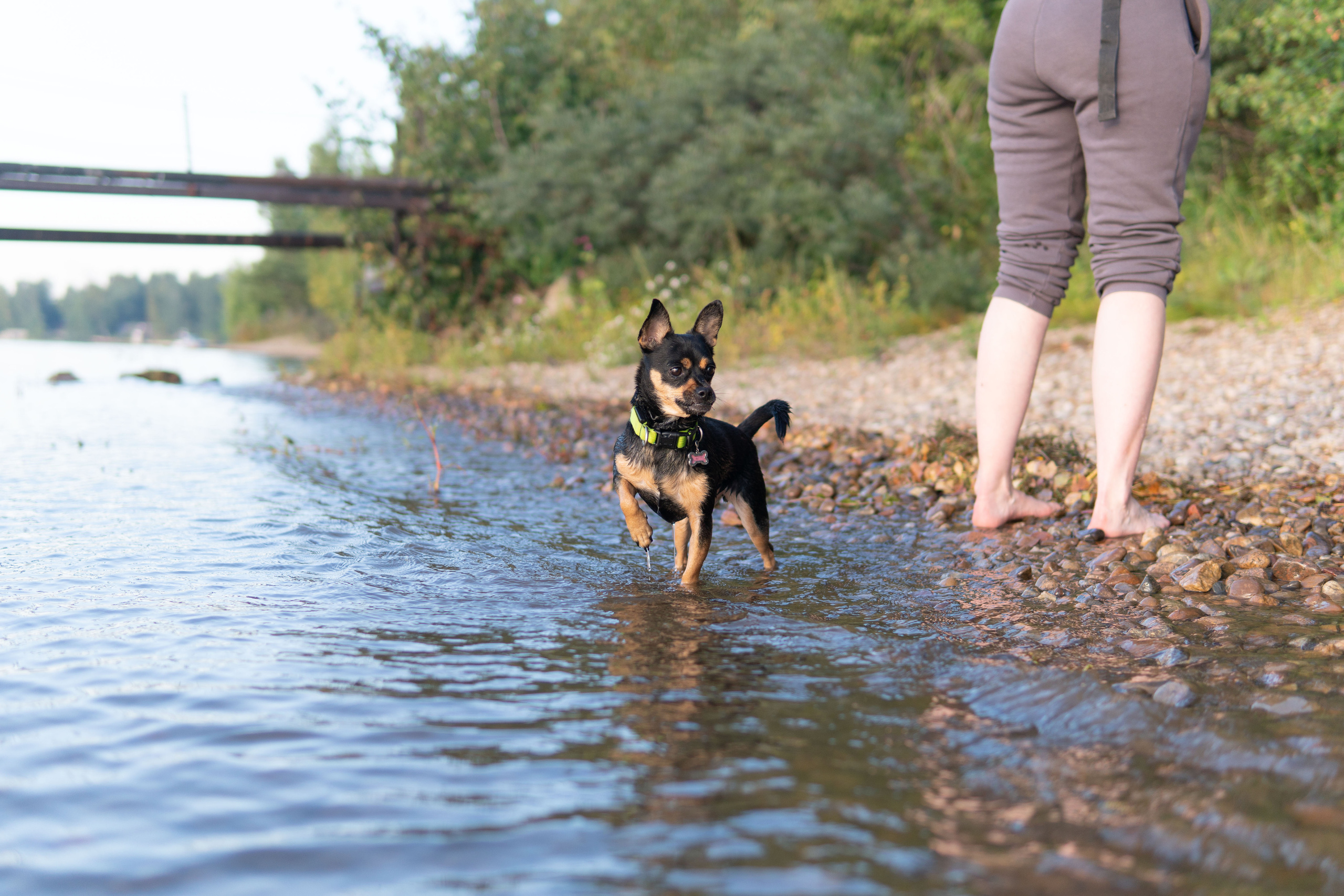 Свадебный репортаж Екатерины и Даниила. Медиа-портфолио Марии Абрашиной