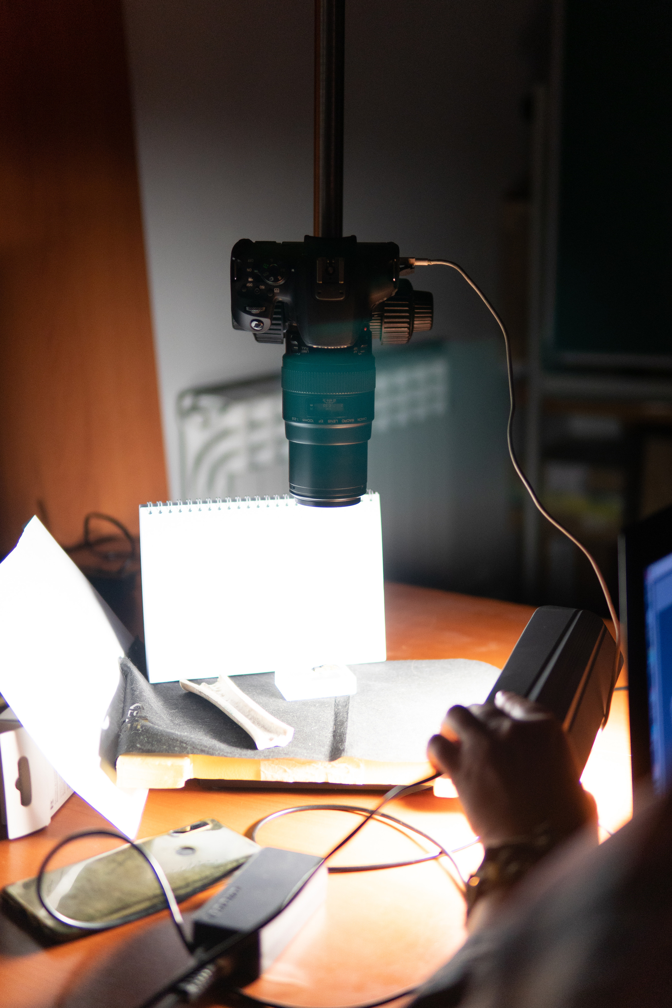 Репортажное портфолио. Медиа-портфолио Марии Абрашиной