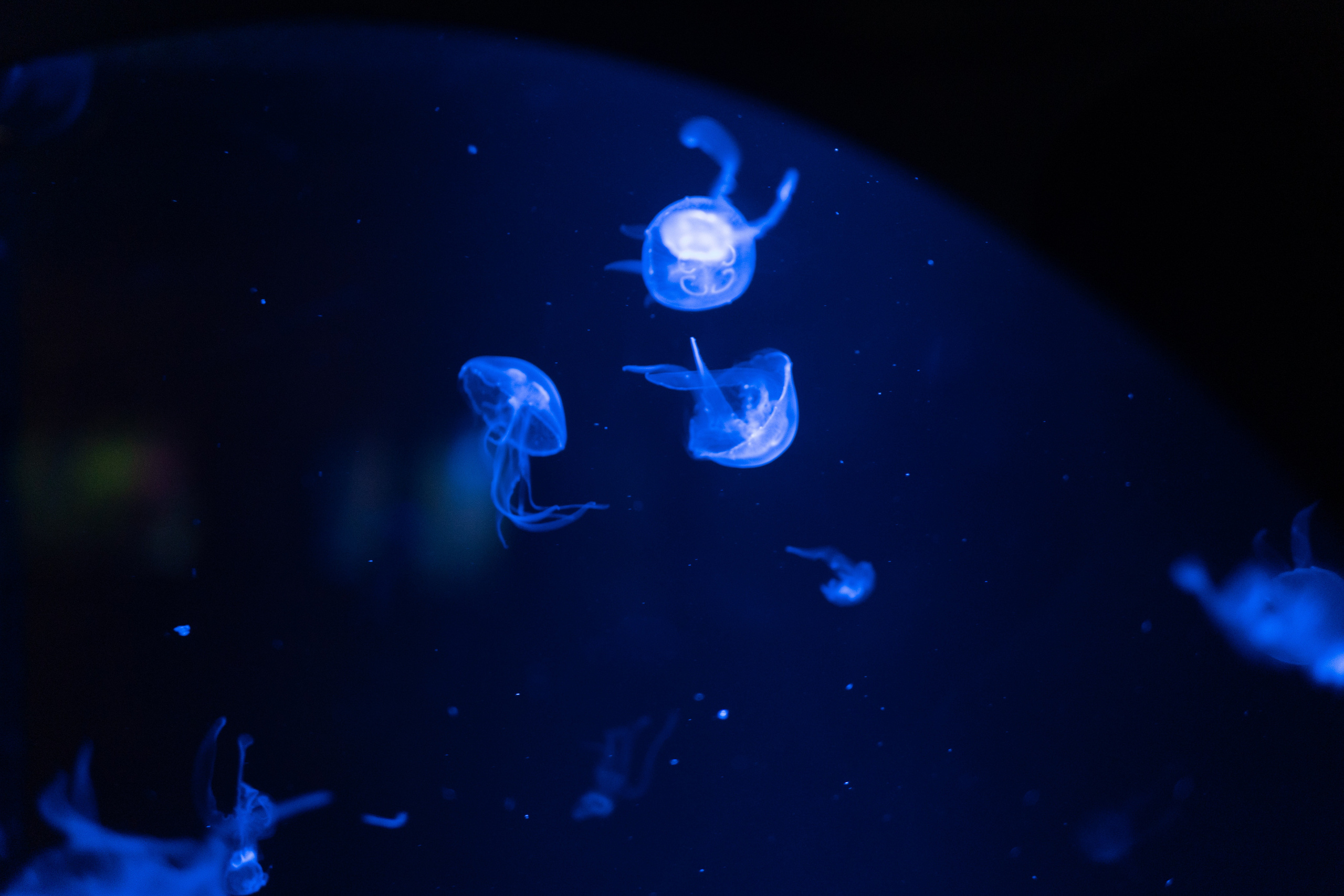 Фотографии с Санкт-Петербурга. Медиа-портфолио Марии Абрашиной