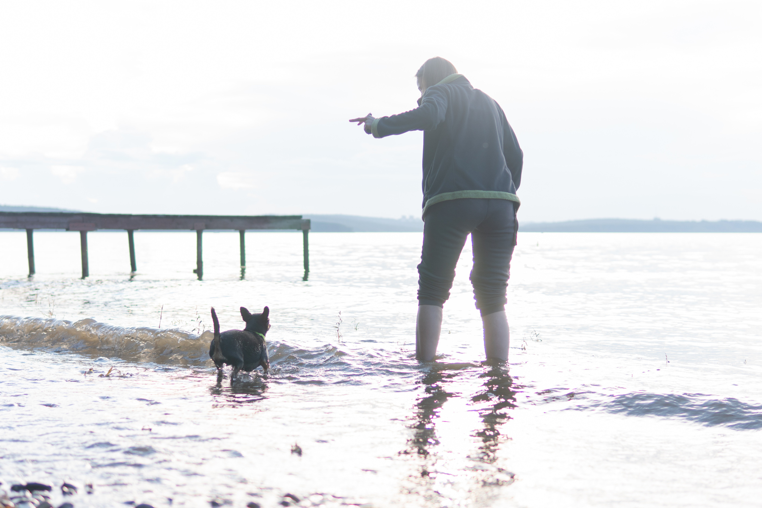 Свадебный репортаж Екатерины и Даниила. Медиа-портфолио Марии Абрашиной