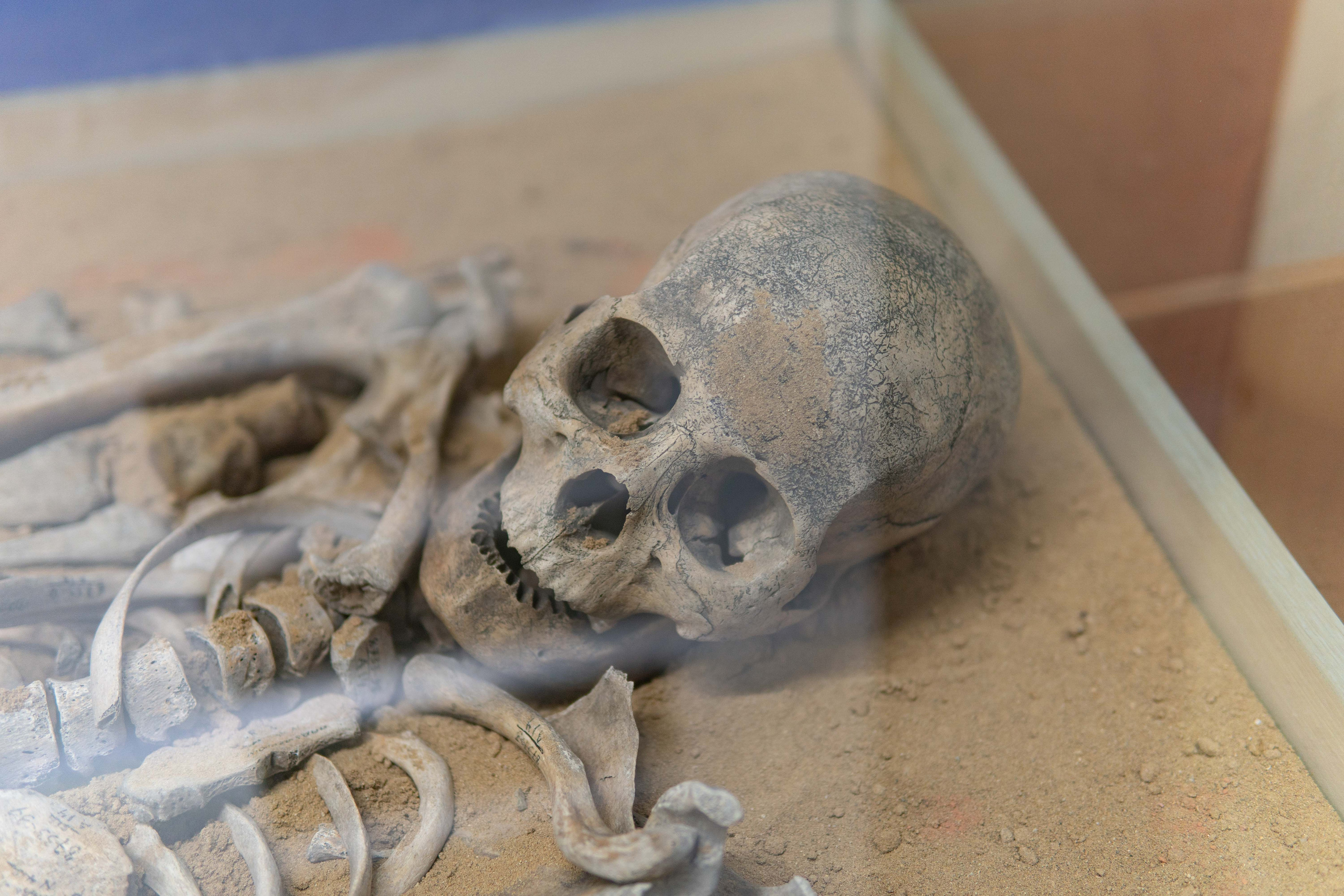 Конференция «КЛИО-2022». Медиа-портфолио Марии Абрашиной