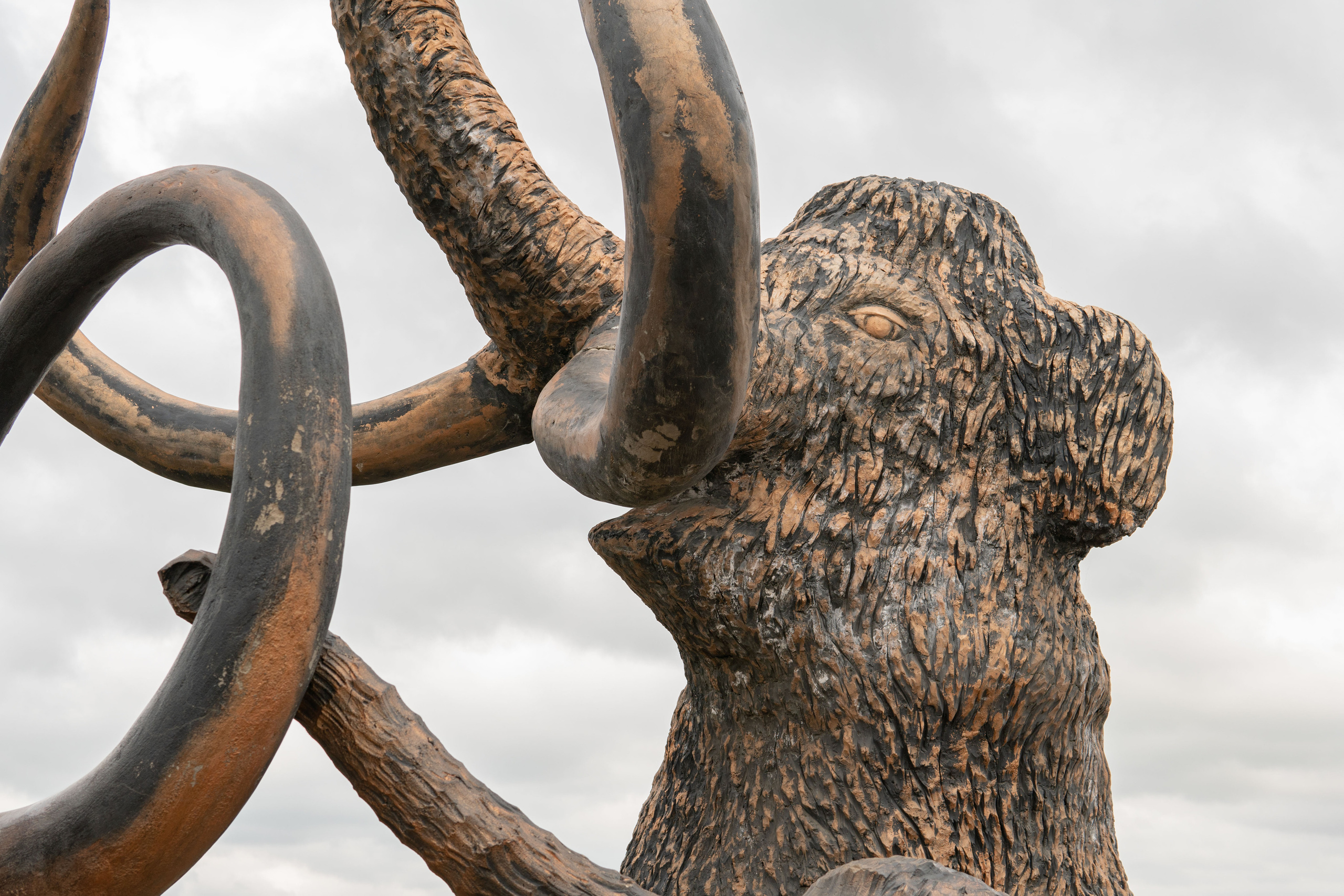 Встреча с губернатором Иркутской области. Медиа-портфолио Марии Абрашиной