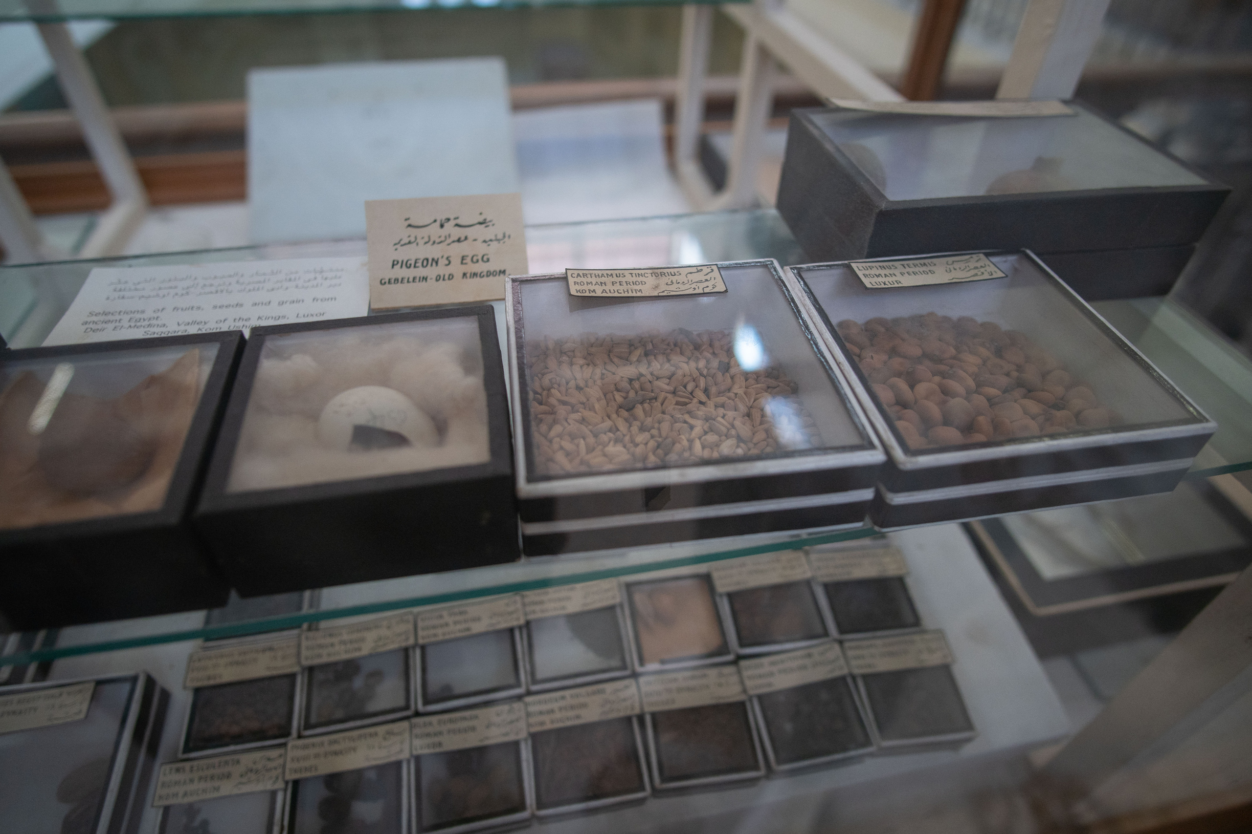 Фотографии с Египта. Медиа-портфолио Марии Абрашиной