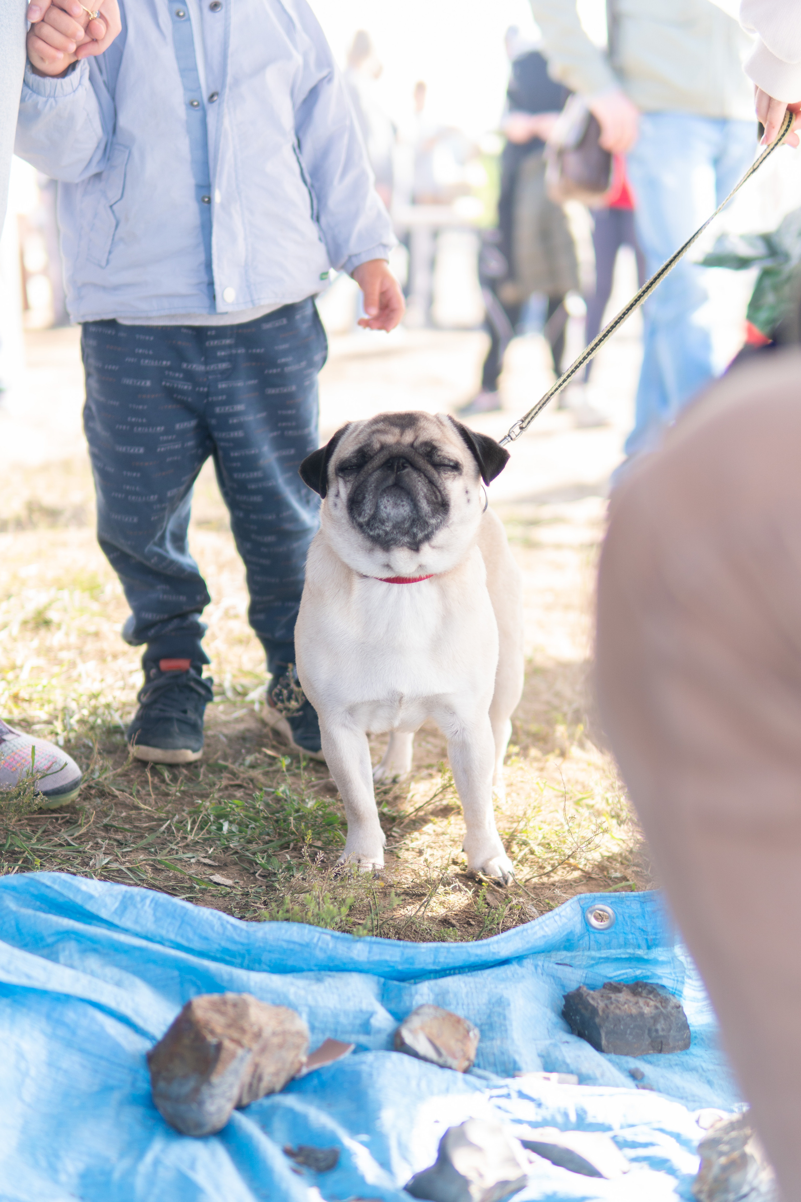 Мероприятия студенческого археологического клуба. Медиа-портфолио Марии Абрашиной
